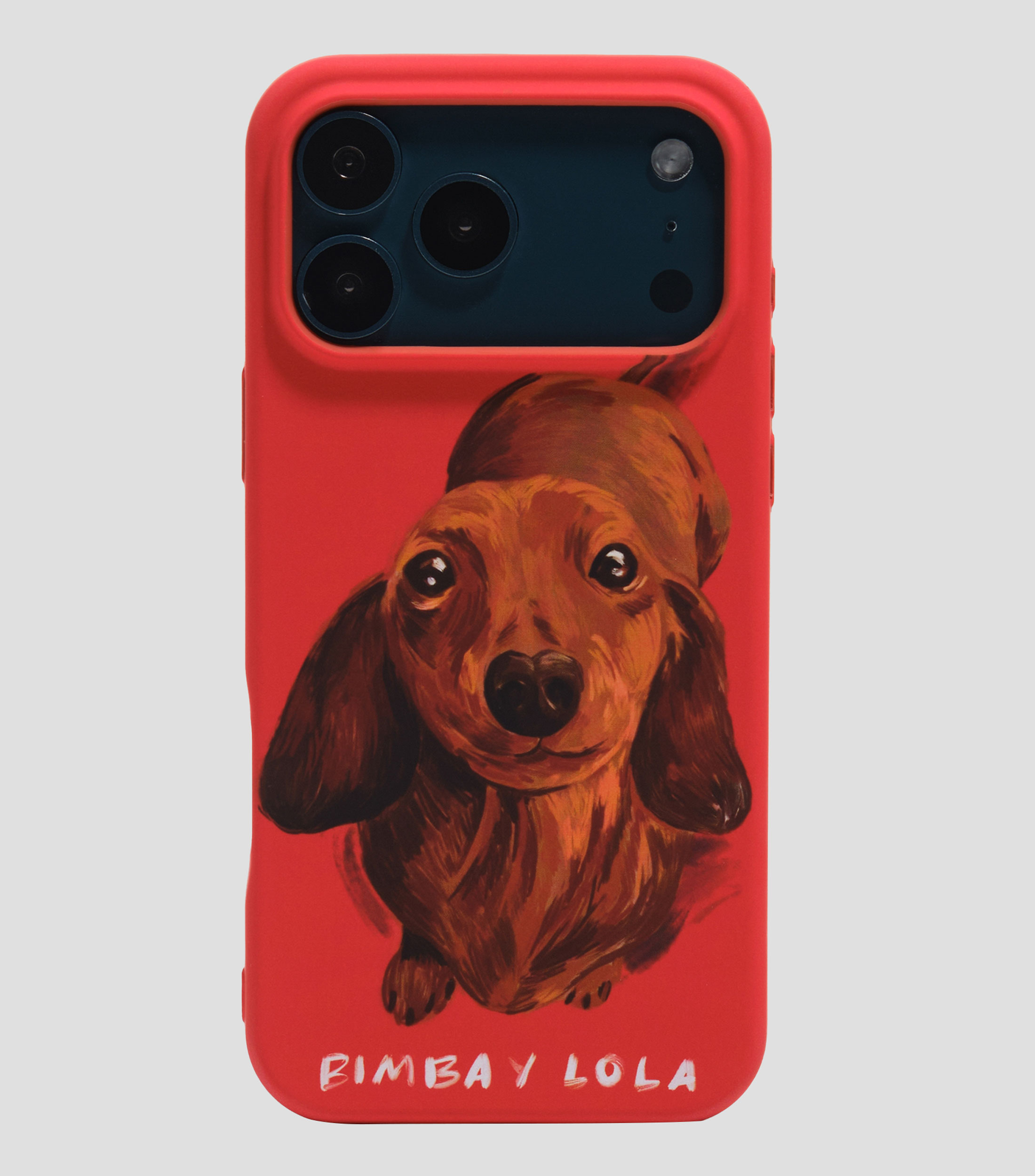 Funda rígida iPhone 17 Pro Max teckel roja
