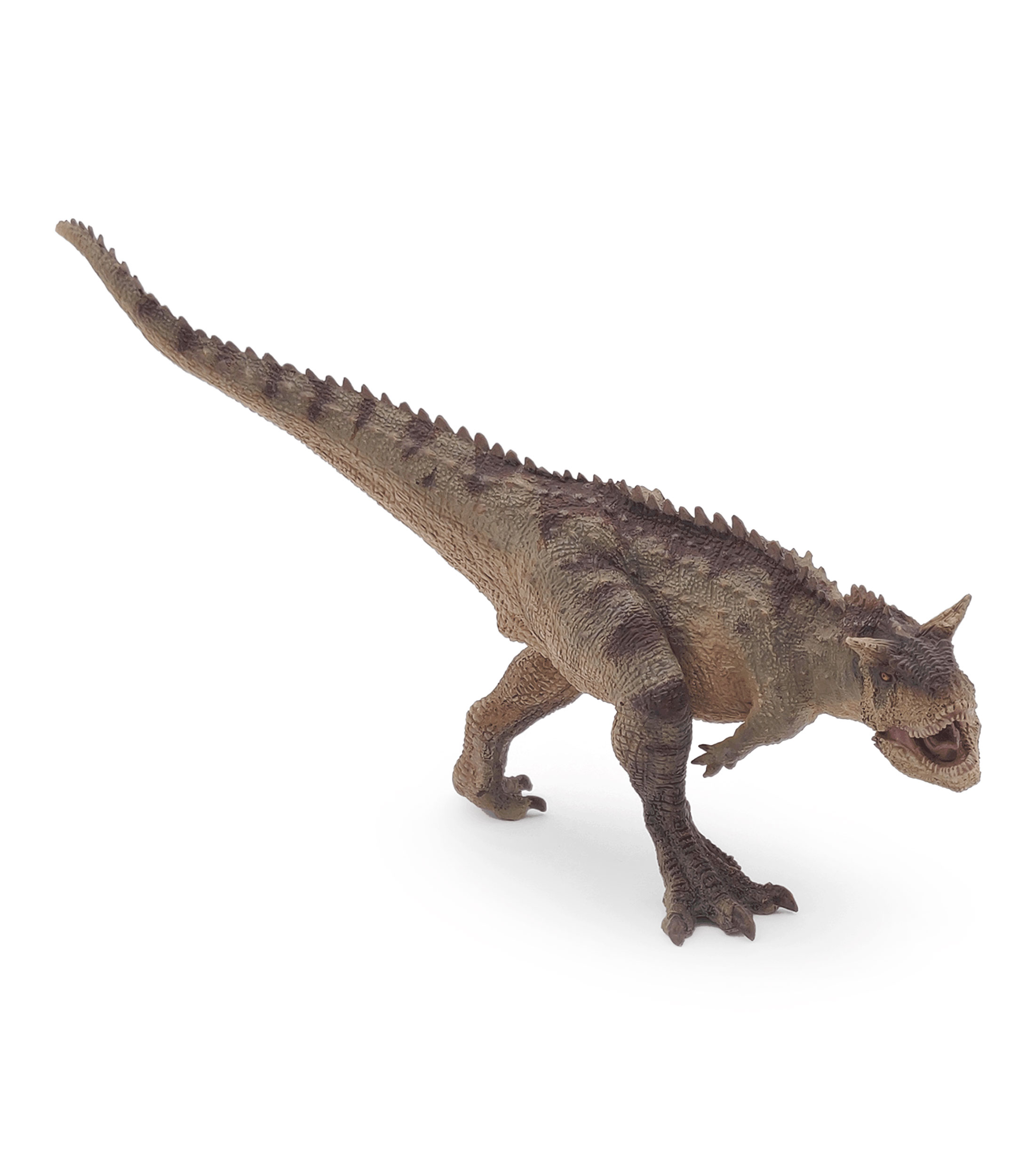 Carnotaurus