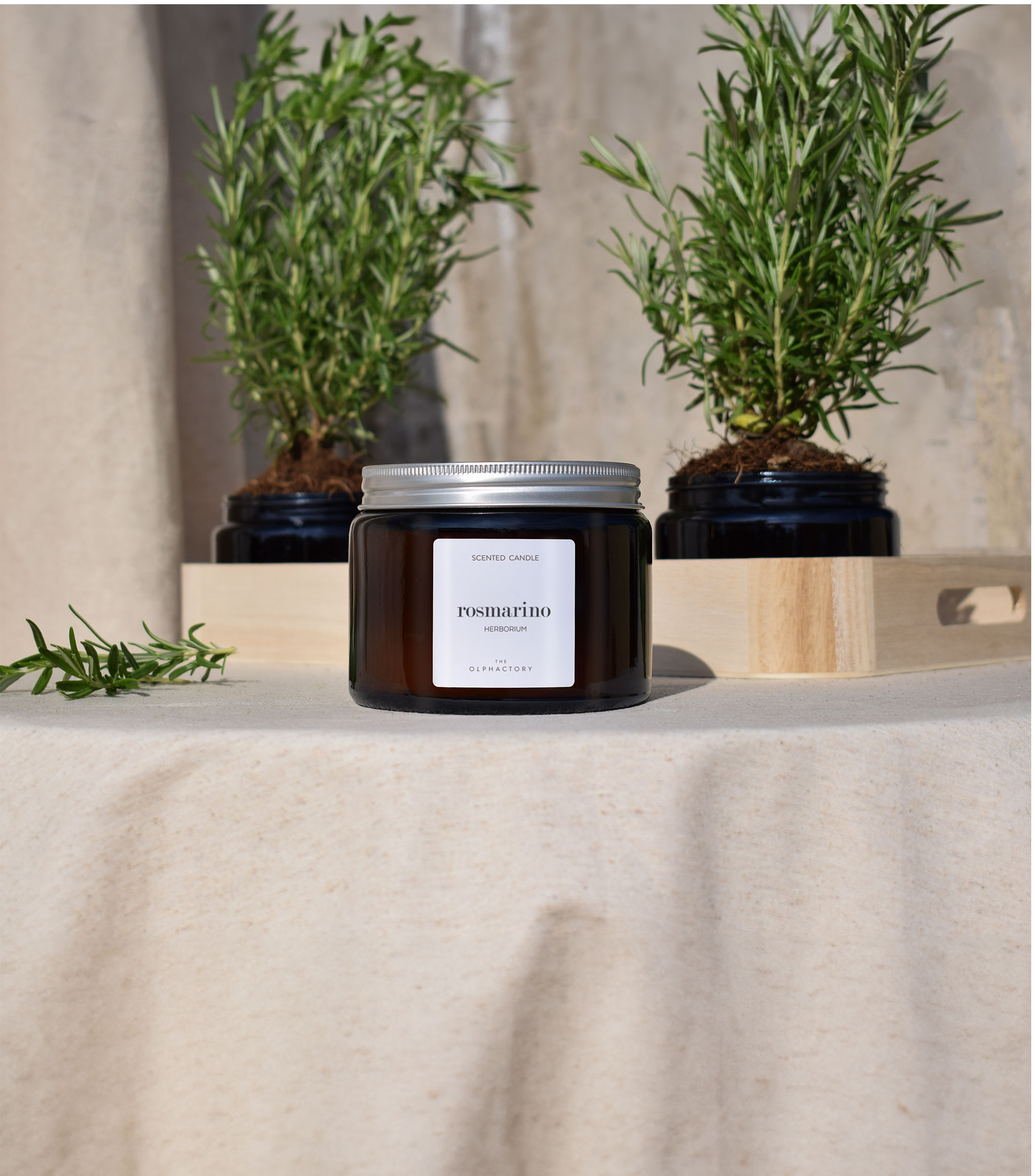Vela Aromática Rosmarino