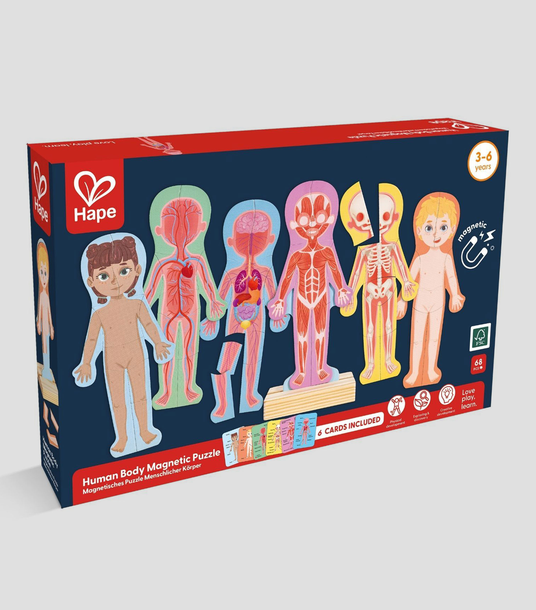 Rompecabezas Magnetico del Cuerpo Humano