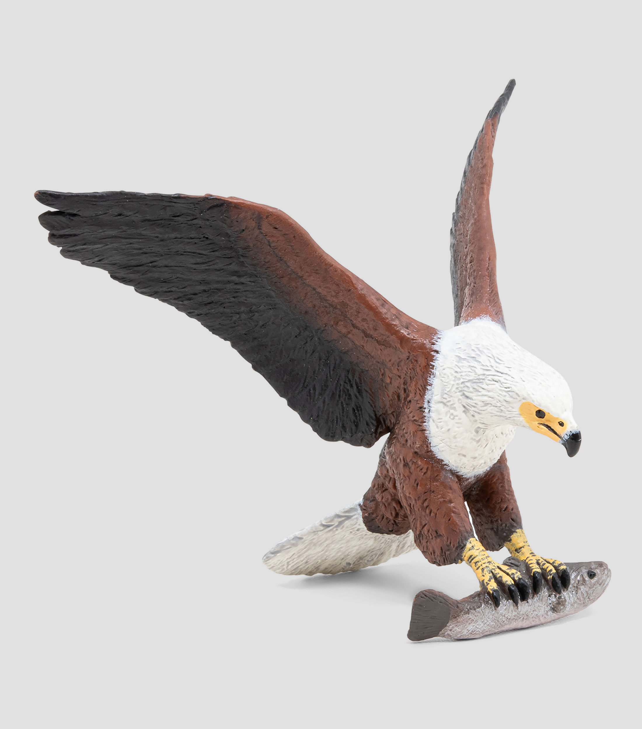 Figura Coleccionable Aguila Pescadora Africana