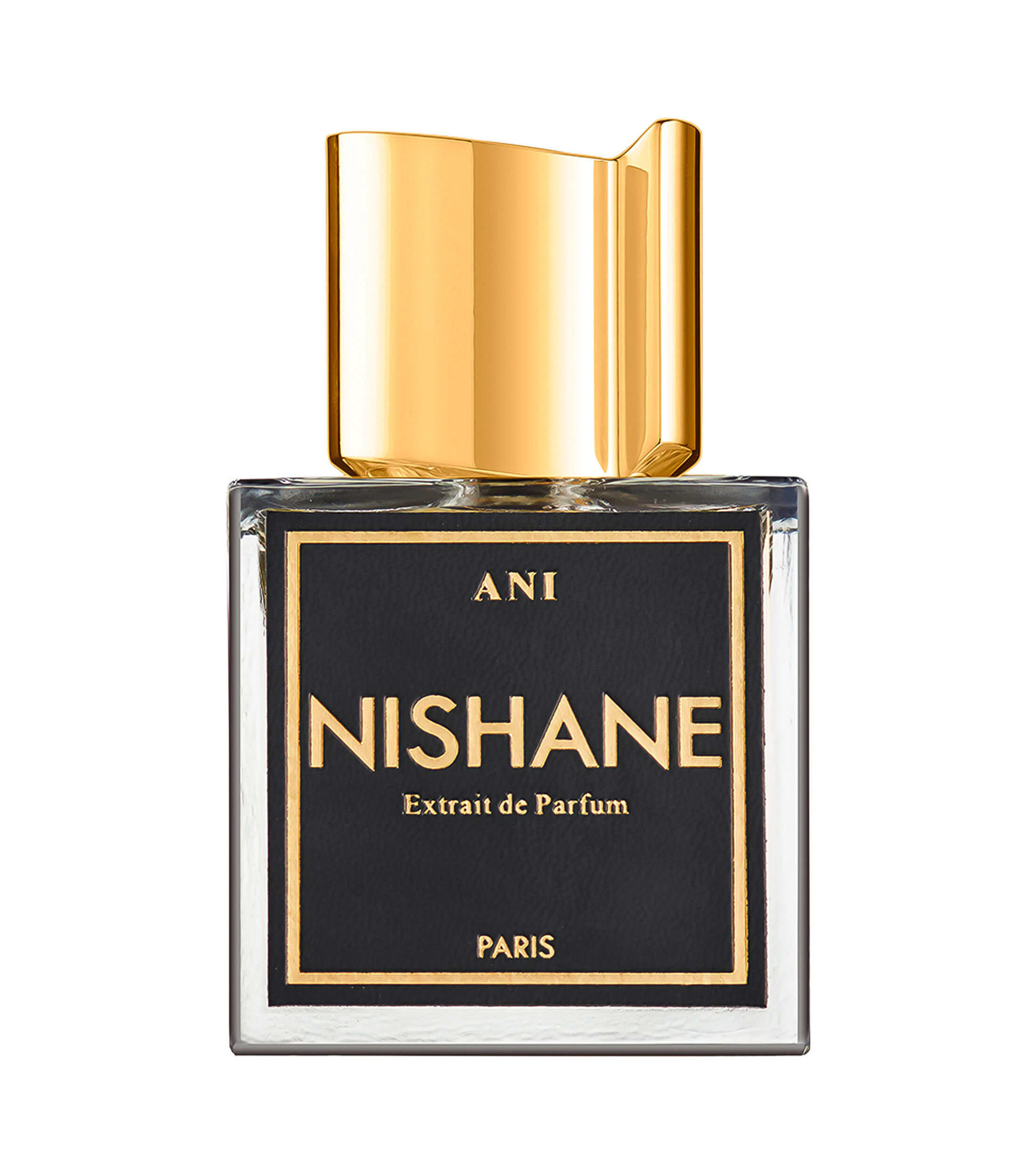 Perfume, Ani Extrait de Parfum, 100 ml Unisex