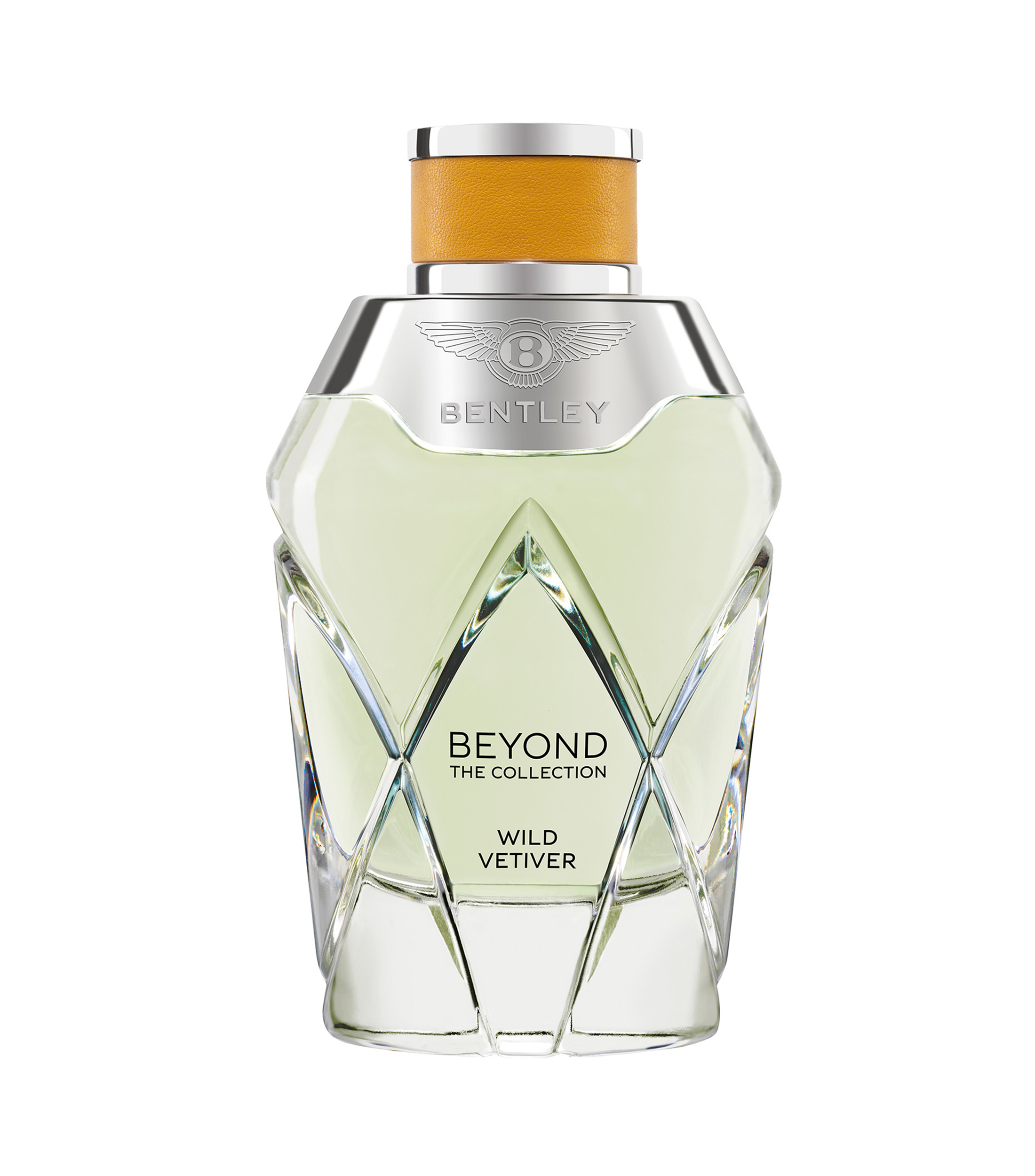 Perfume Beyond Wild Vetiver Eau de Parfum, 100 ml Unisex