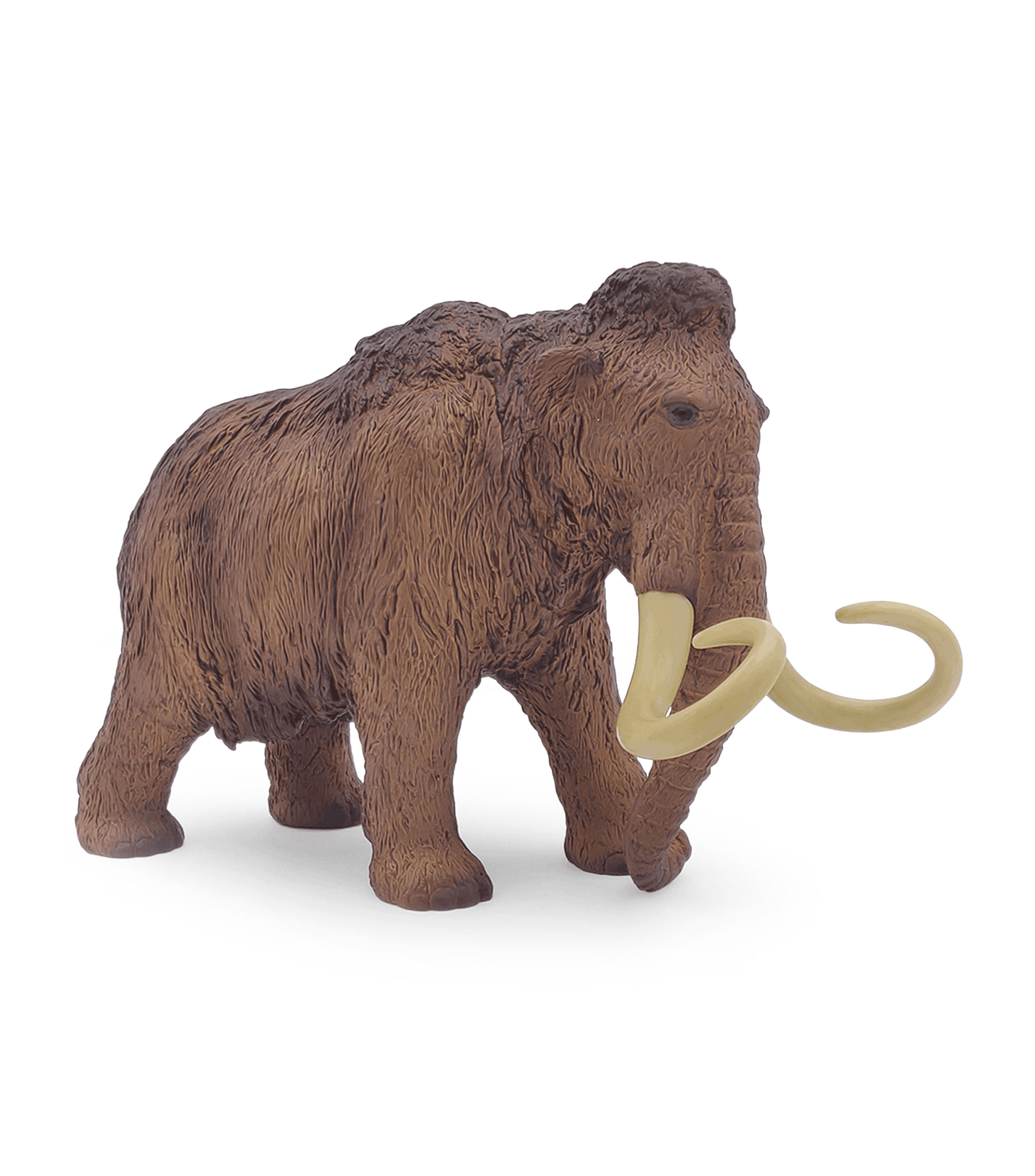 Mamut