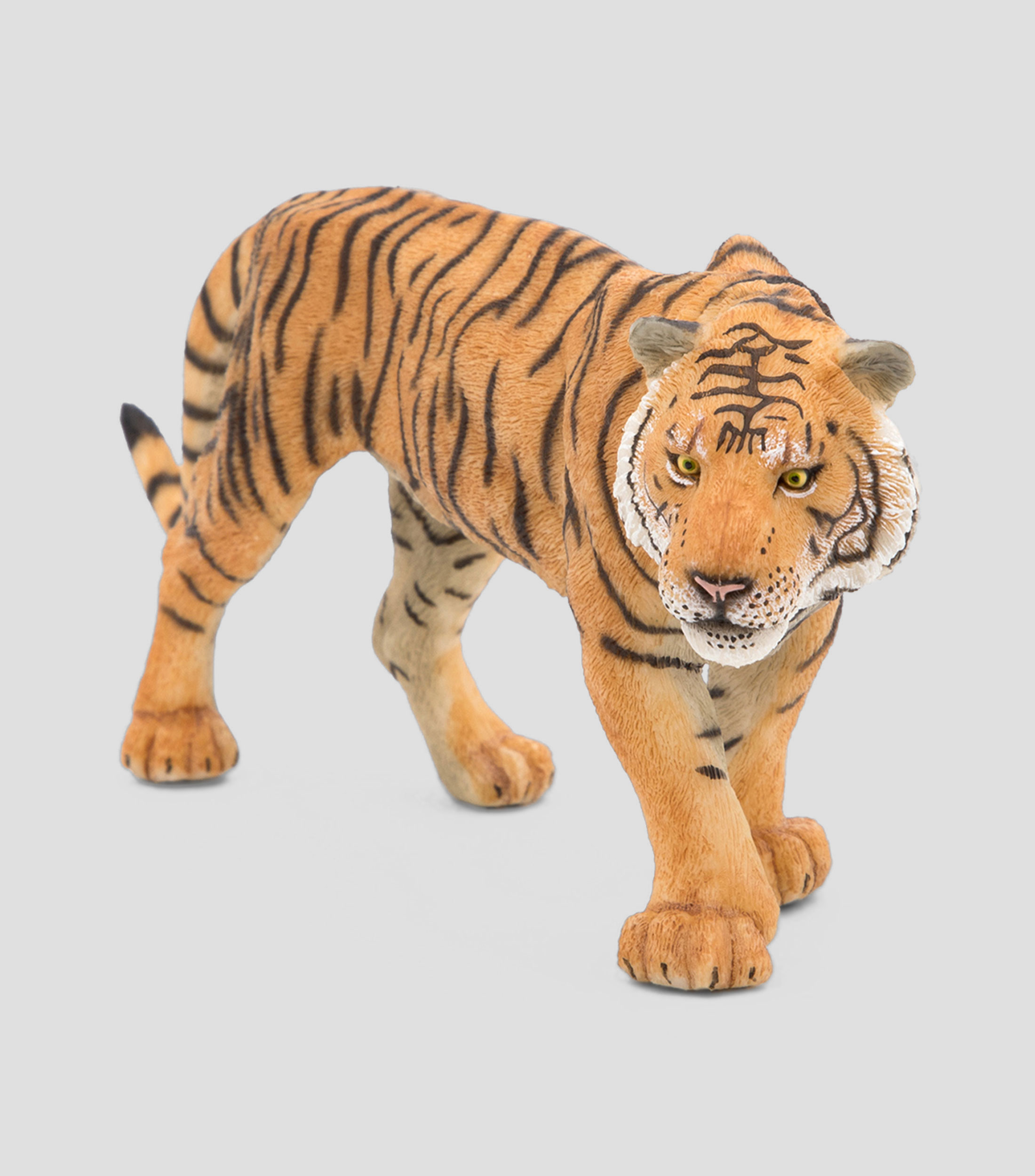 Tigre
