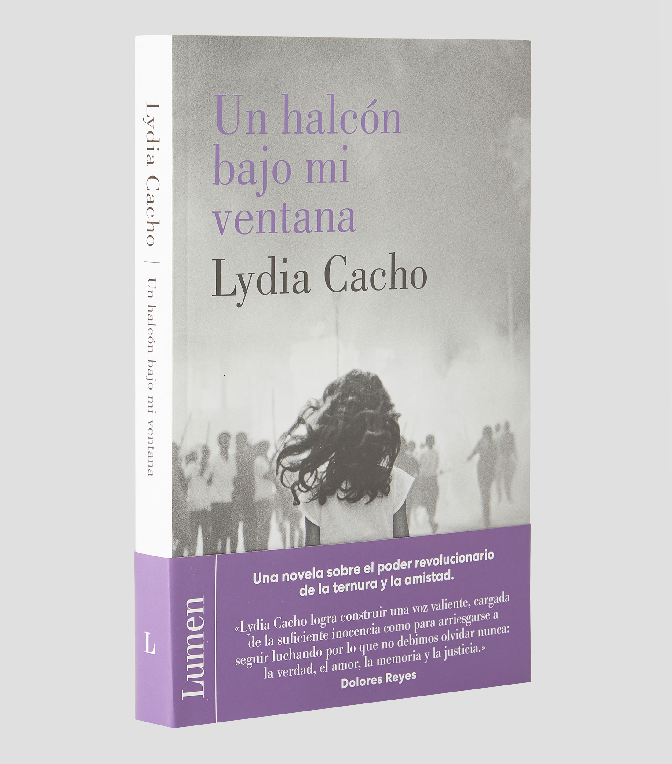 NovelaUn Halcón bajo mi ventana, Lydia Cacho