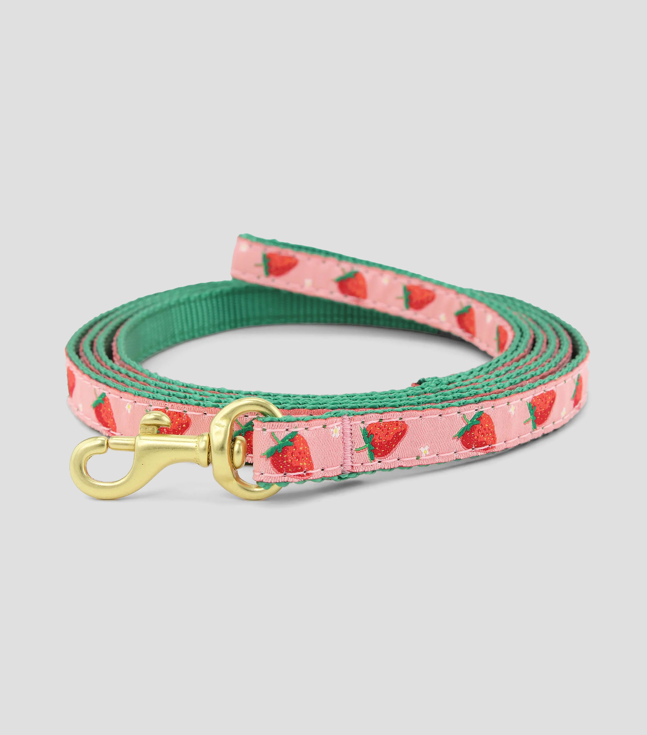Correa delgada para perro Strawberry Fields