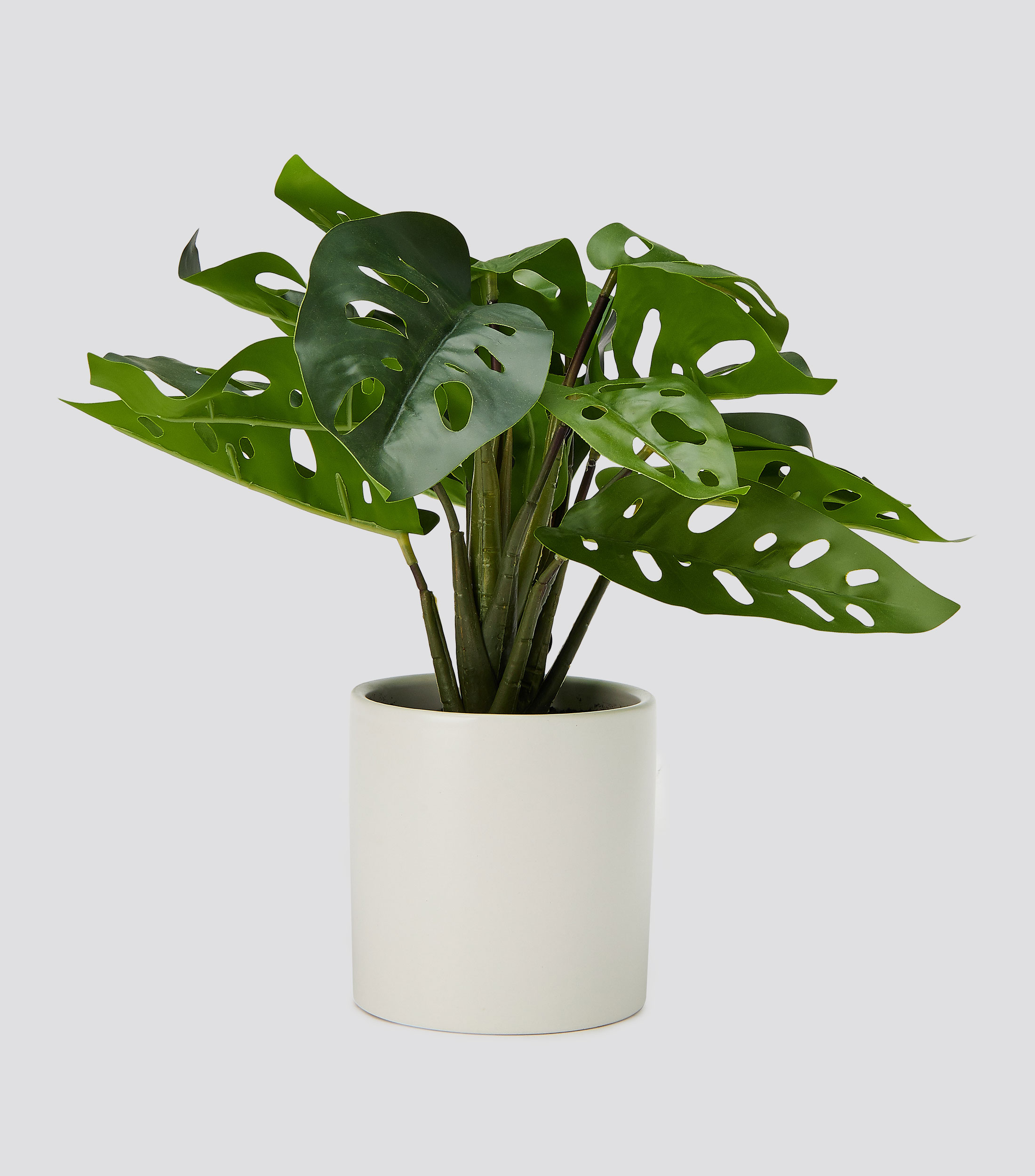 Planta decorativa Thali Artificial