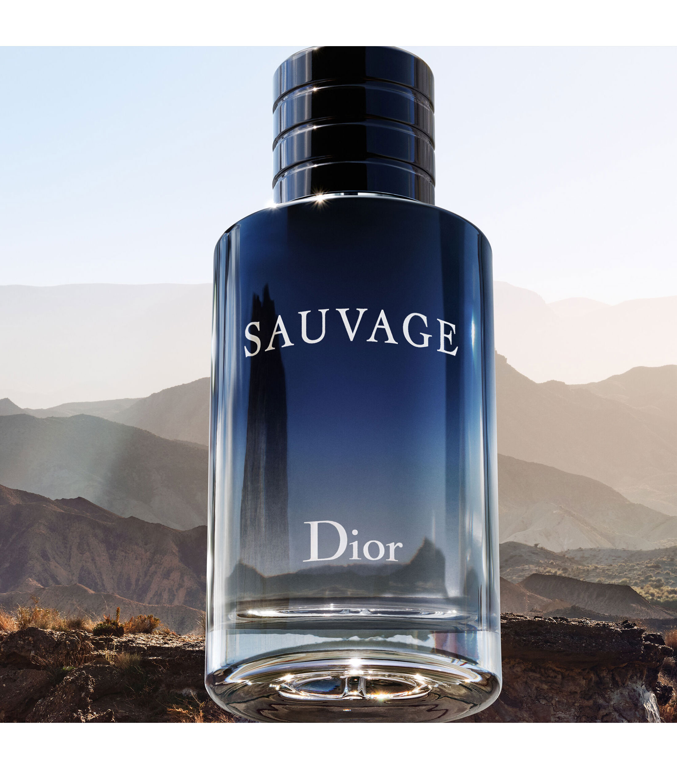 SAUVAGE, EAU DE TOILETTE, REFILL, 100 ml