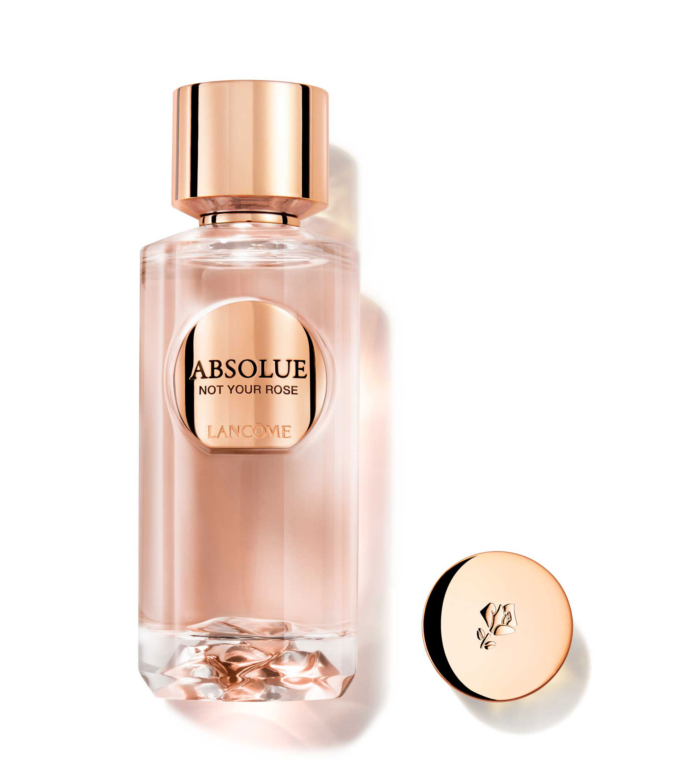 Perfume Absolue Not Your Rose, Eau de Parfum, 100 ml Unisex