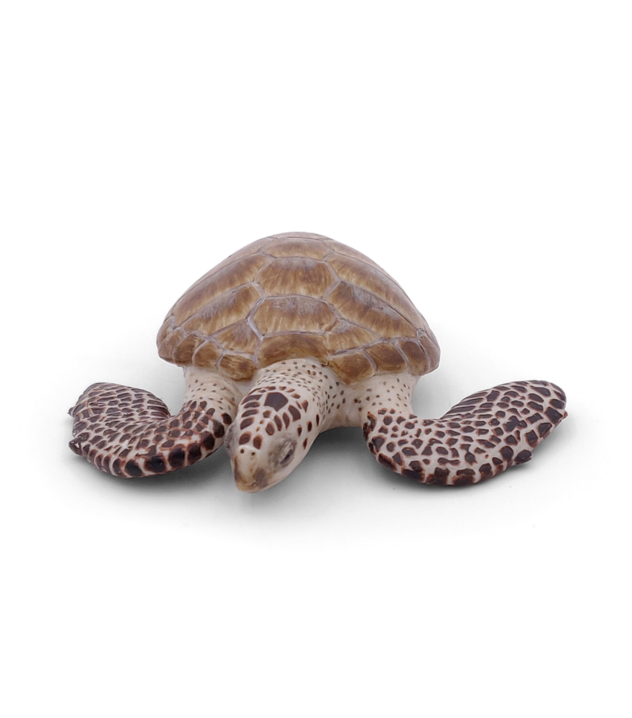 Figura de Tortuga Caguama
