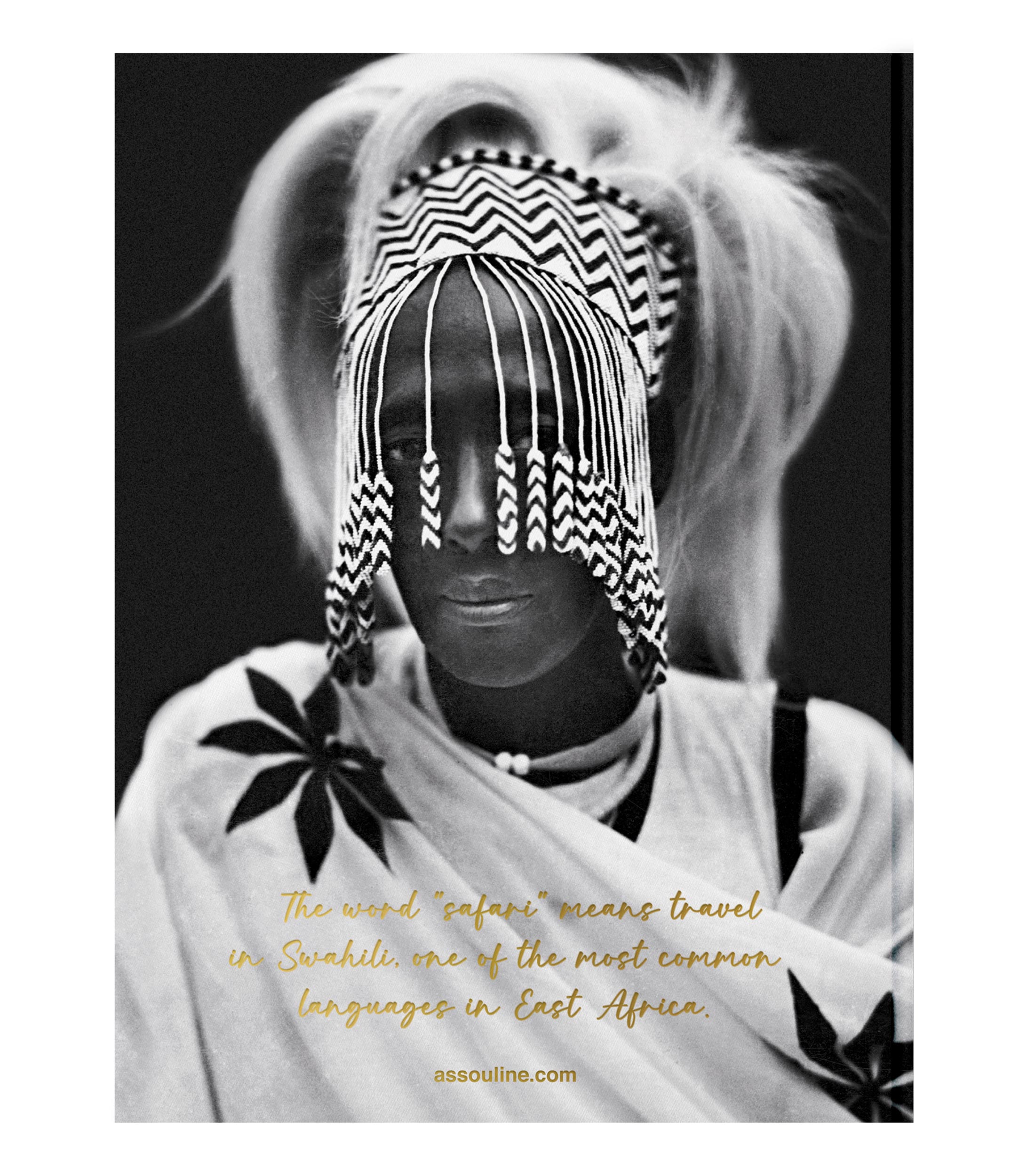 Arte Y RecreaciónAfrican Adventures: The Greatest Safari on Earth, Aline Coquelle
