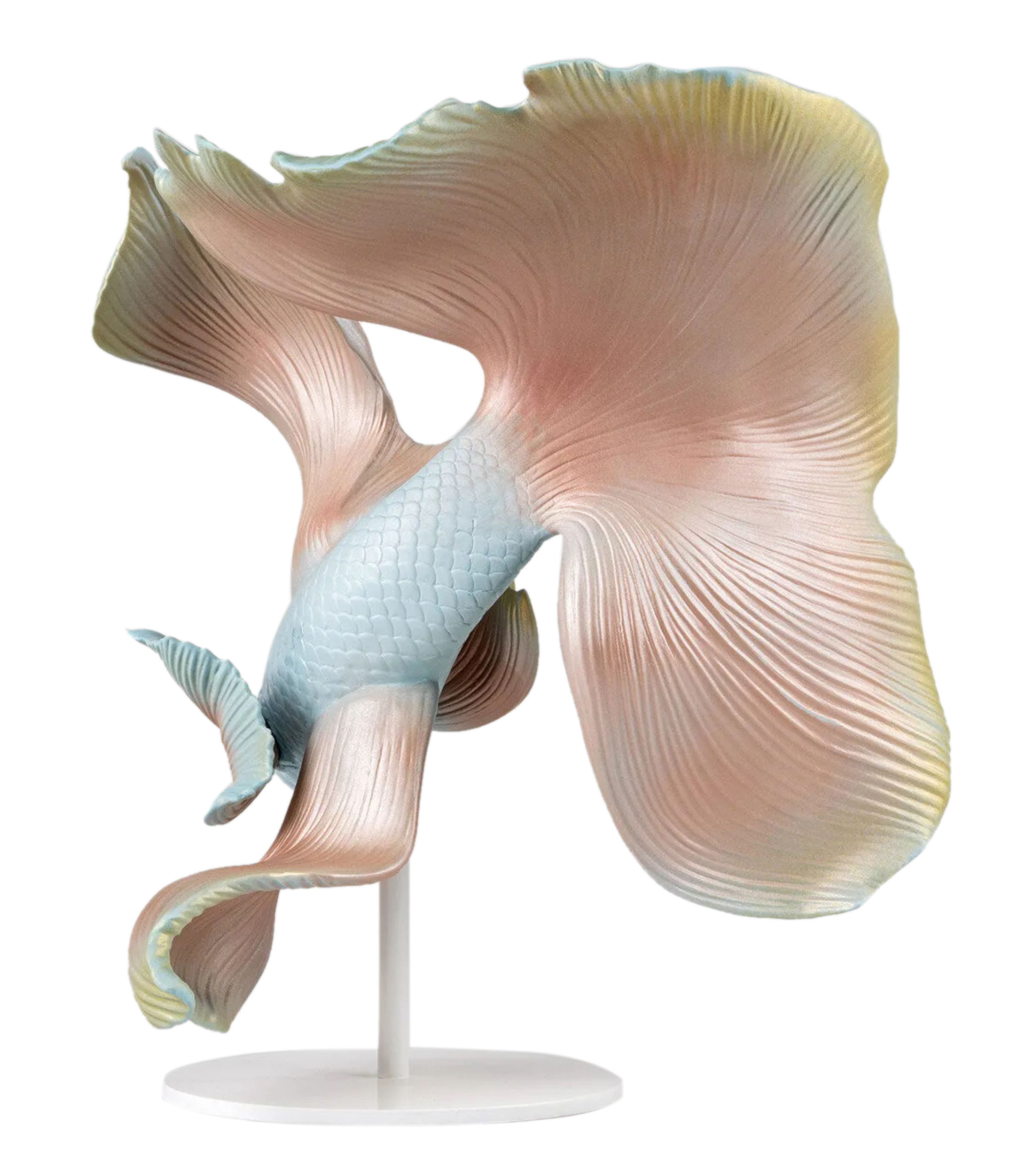 Escultura Pez Betta Izquierdo en porcelana