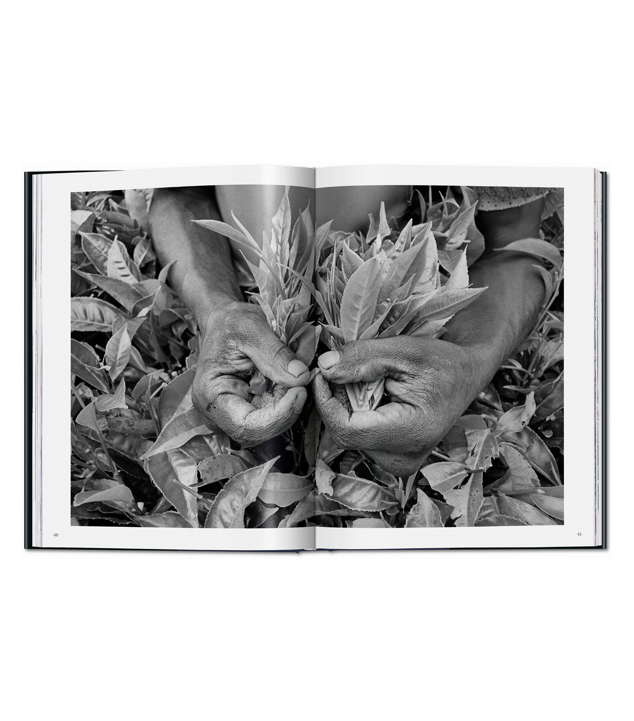Arte Y RecreaciónSalgado, Workers, Sebastião Salgado, Lélia Wanick Salgado