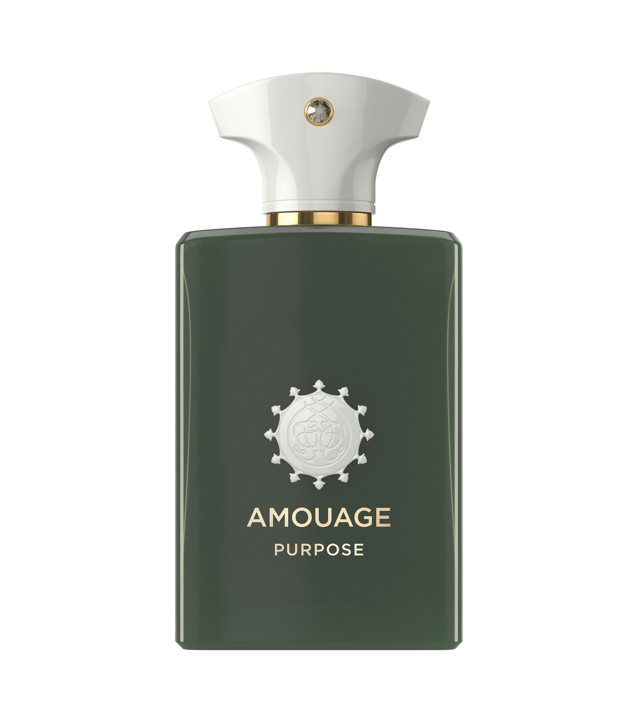 Perfume Purpose Eau de Parfum, 100 ml Unisex