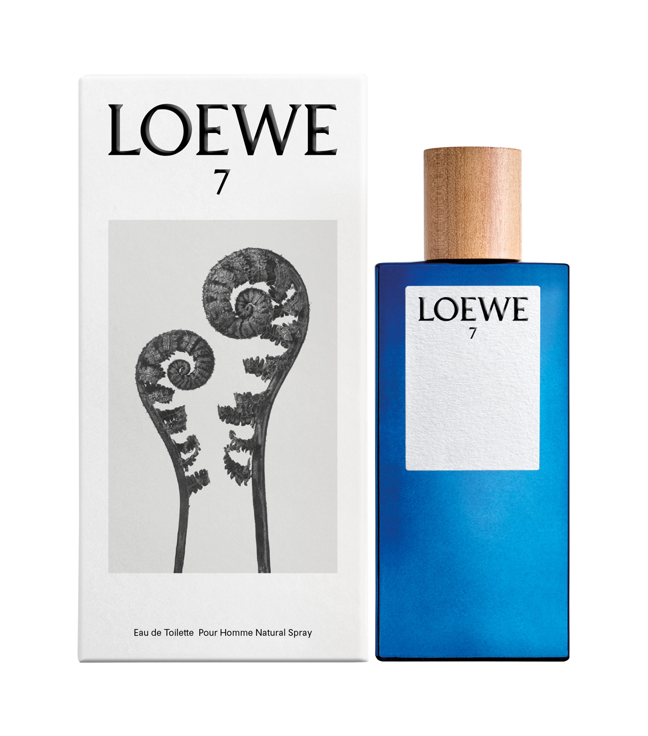 LOEWE 7 EDT 100 ML