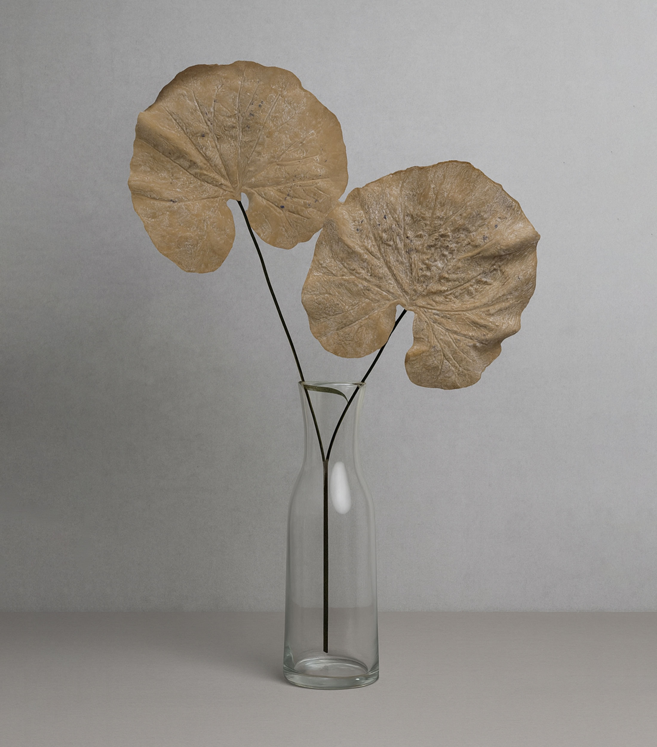 Rama Montseria Beige en material sintético