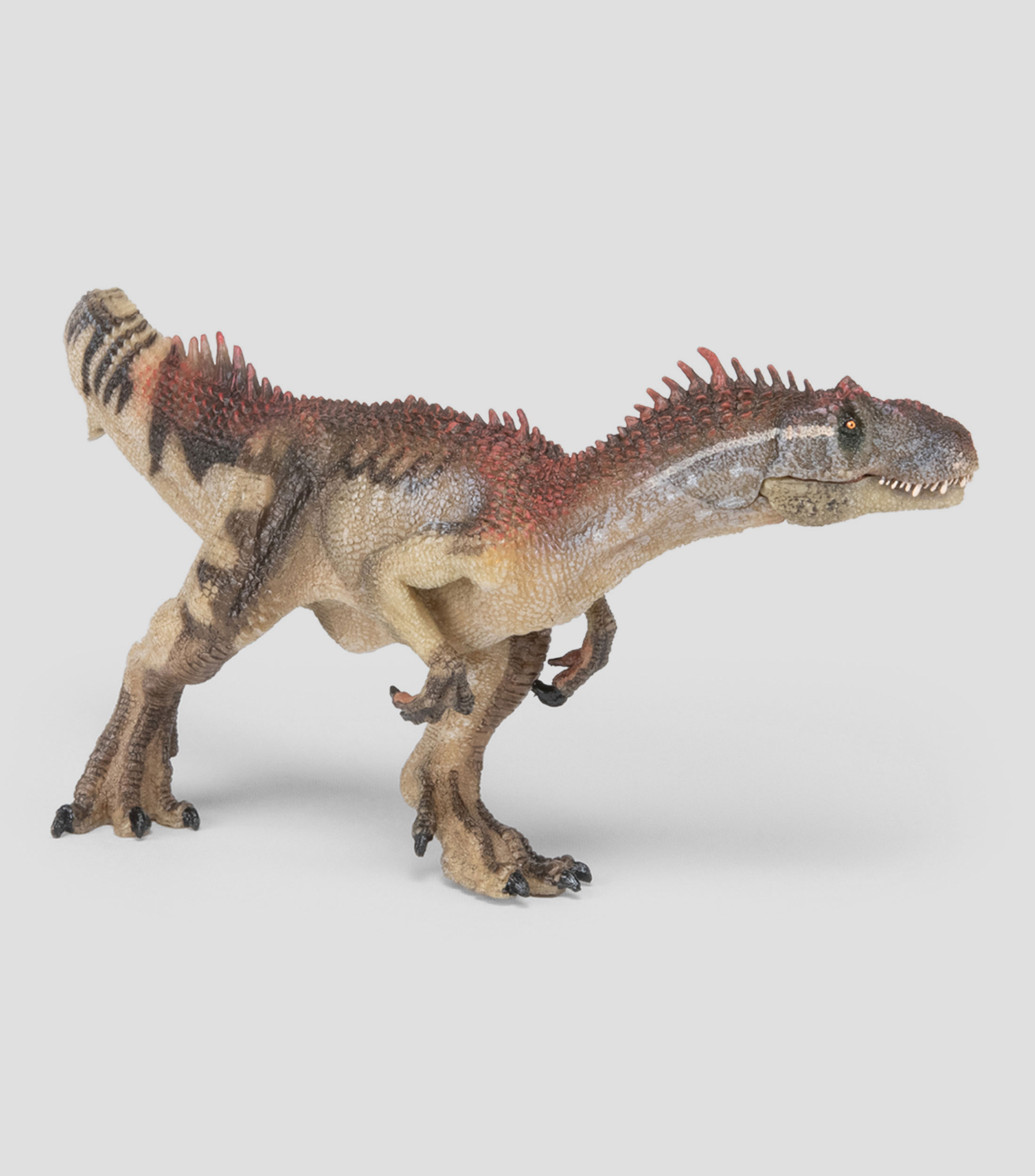 Allosaurus