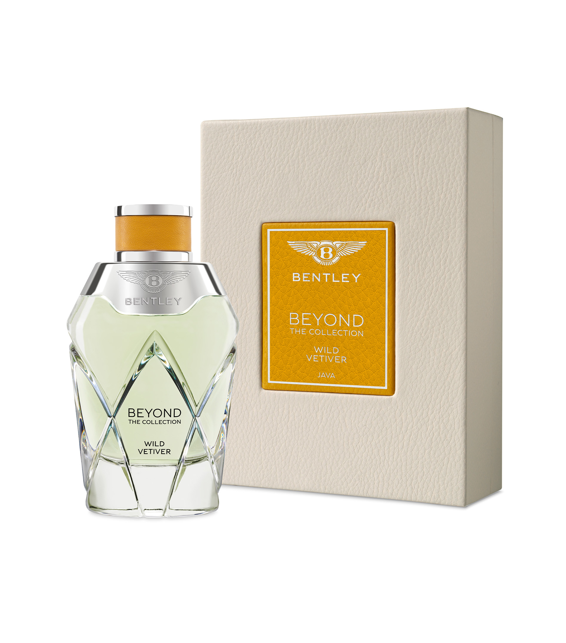 Perfume Beyond Wild Vetiver Eau de Parfum, 100 ml Unisex