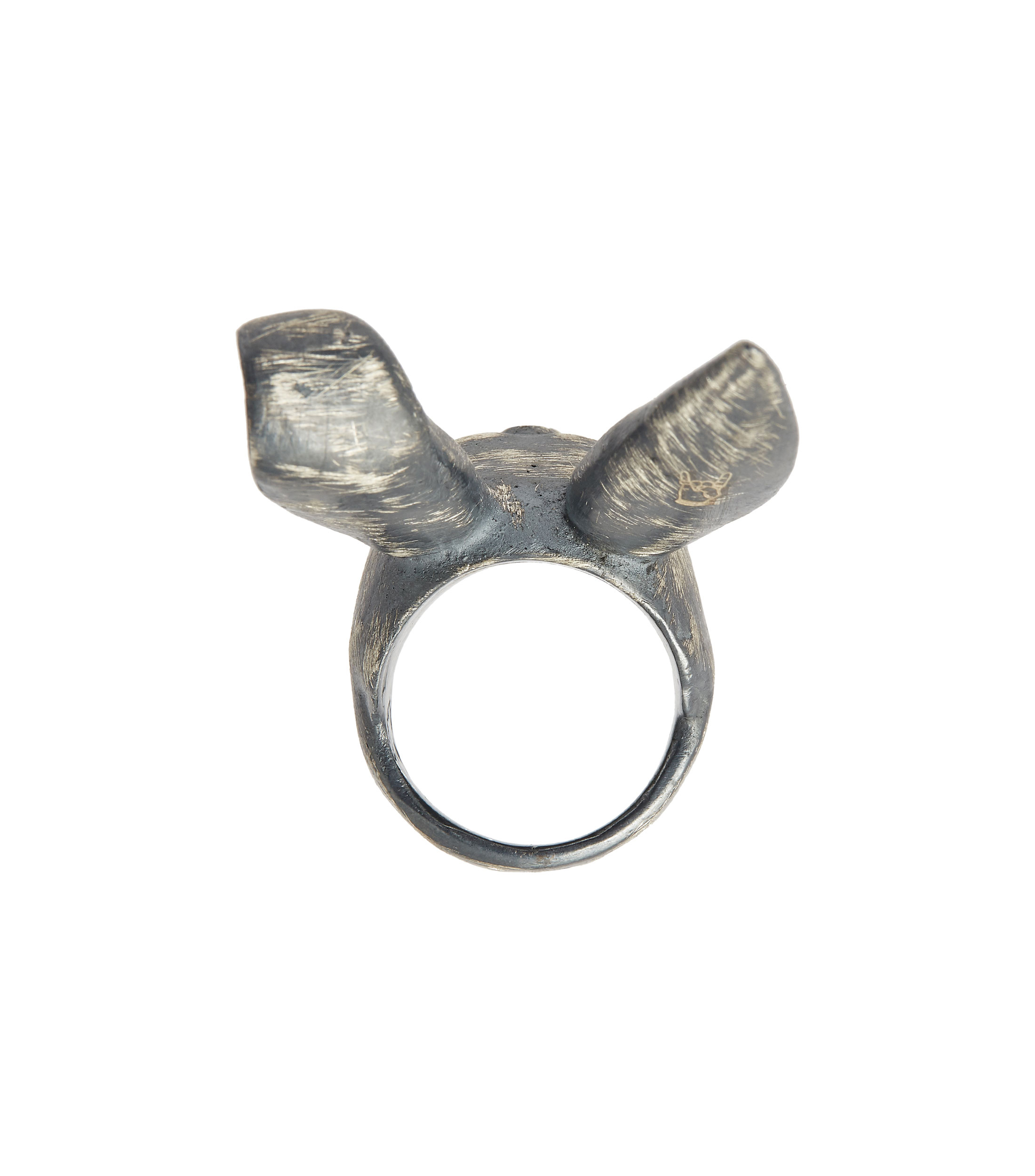 Anillo Hombre