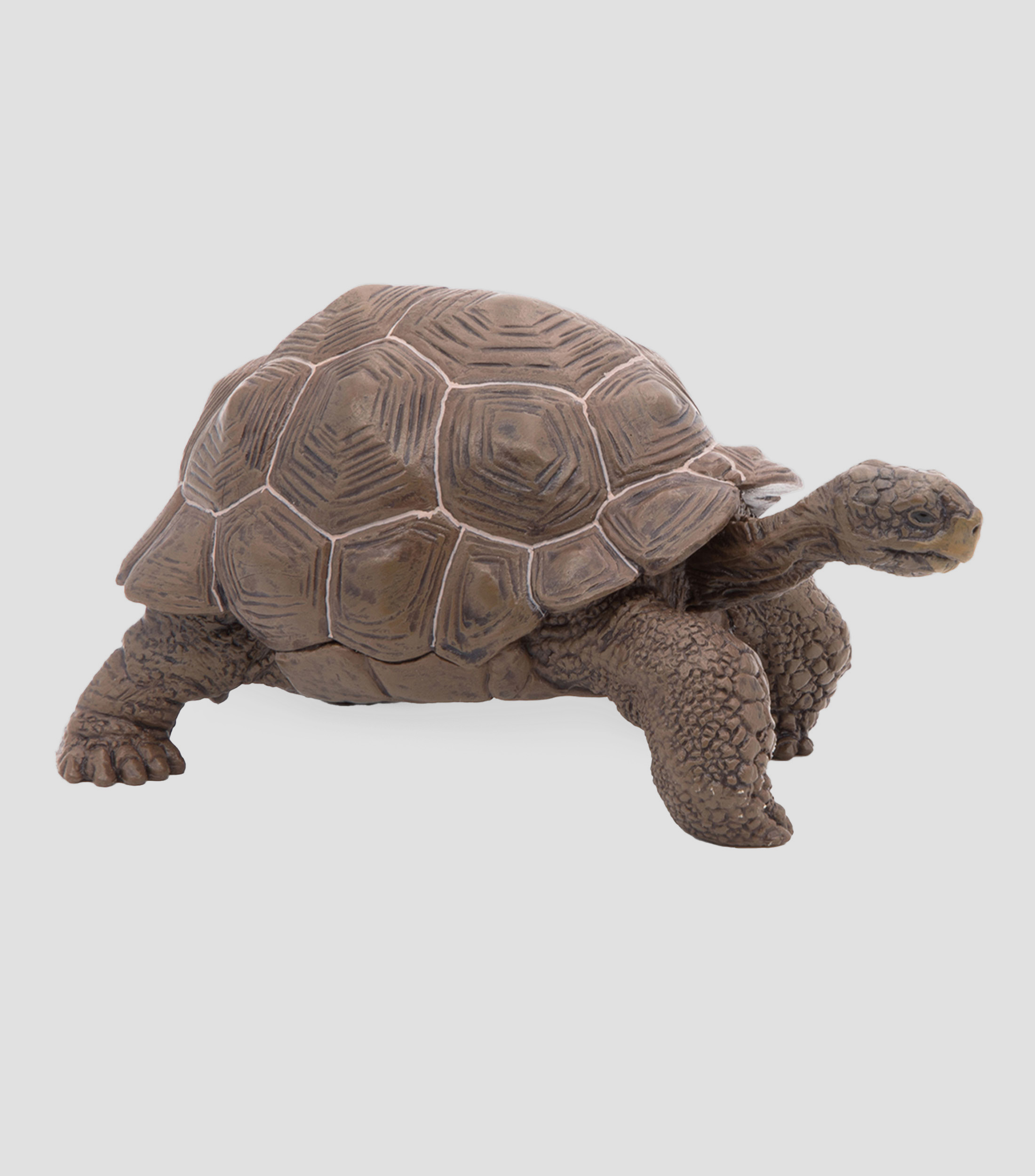 Figura Tortuga galapagos