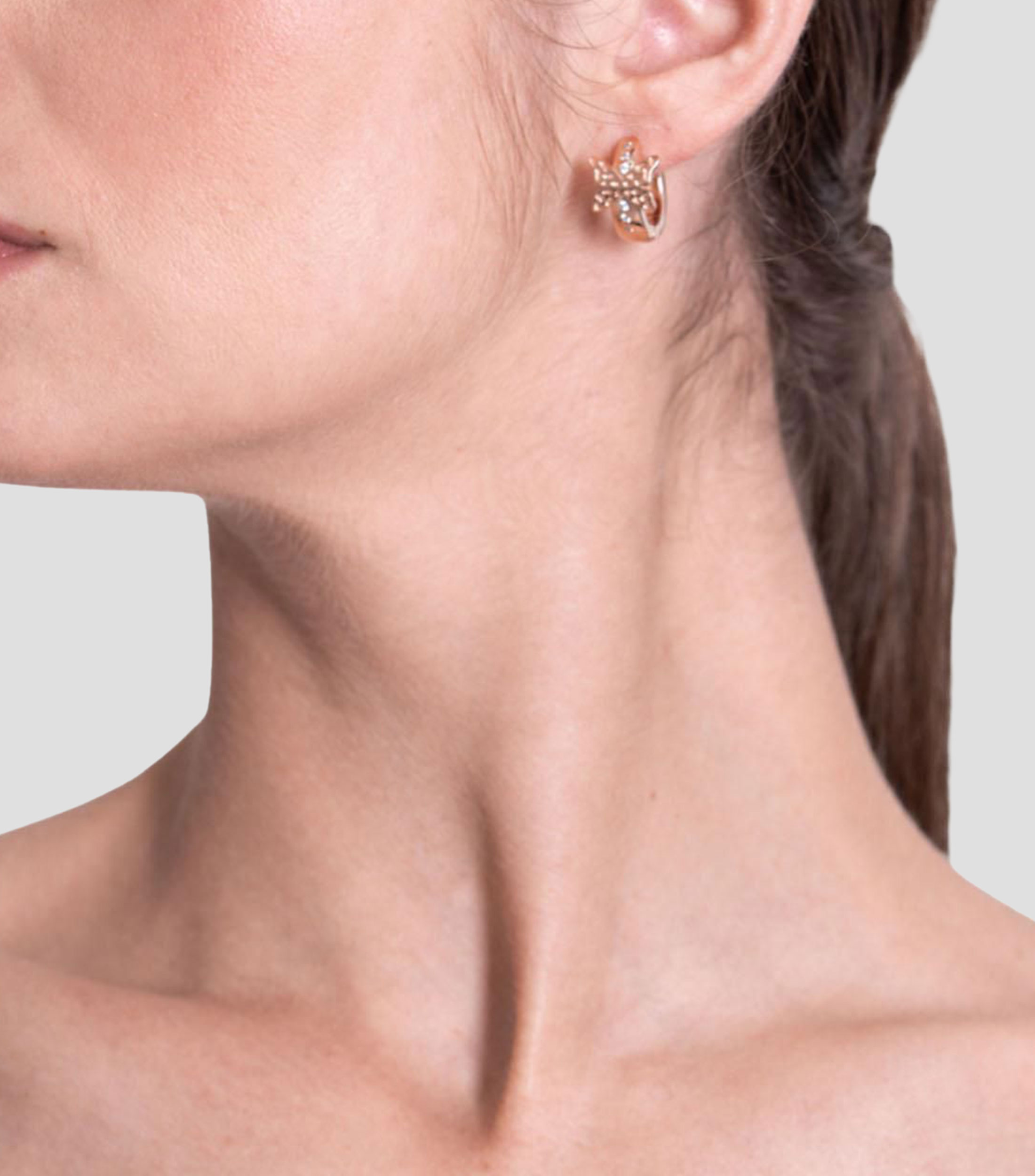 Aretes en plata .925 Mujer