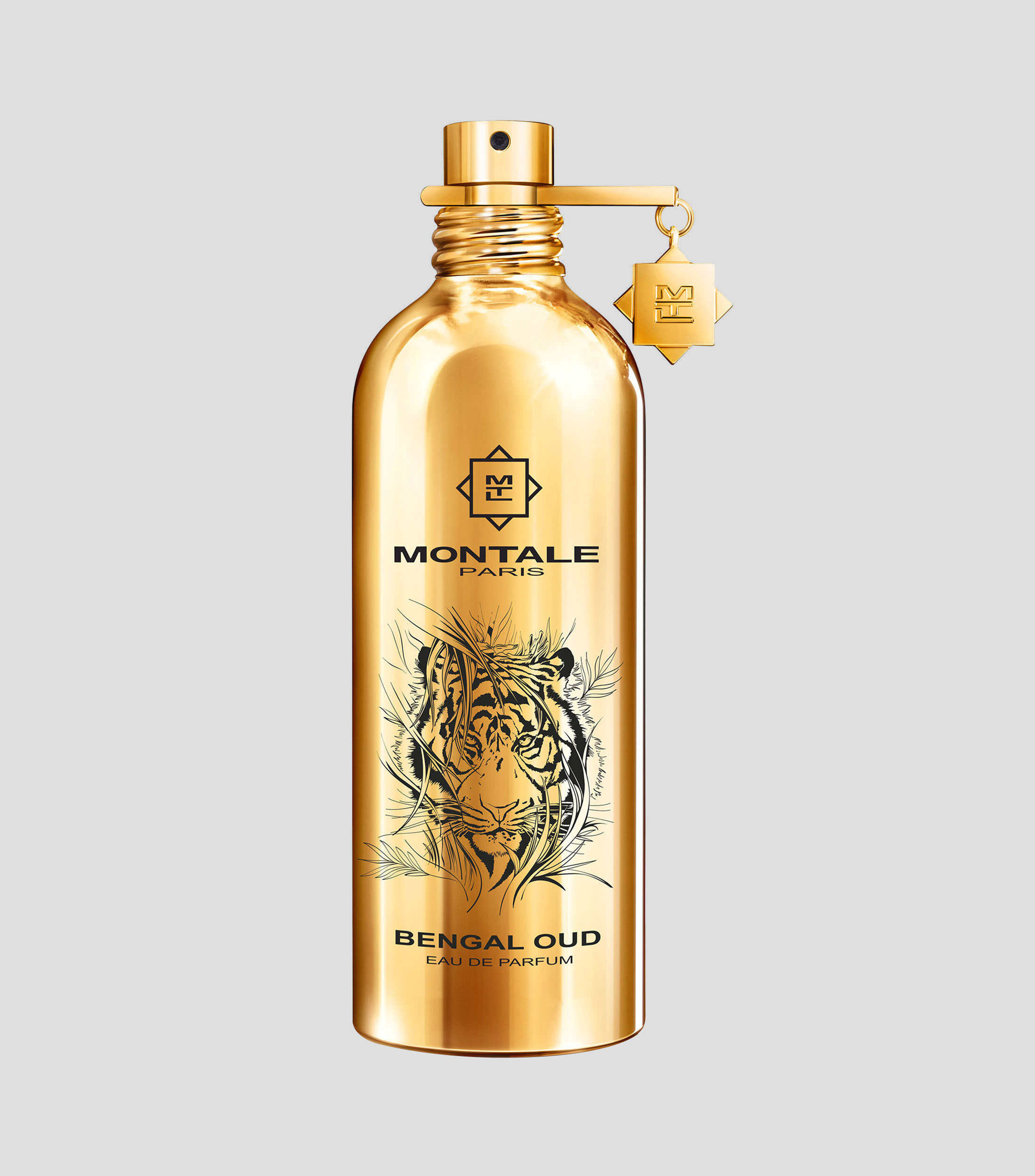 Perfume, Bengal Oud Eau de Parfum, 100 ml Hombre