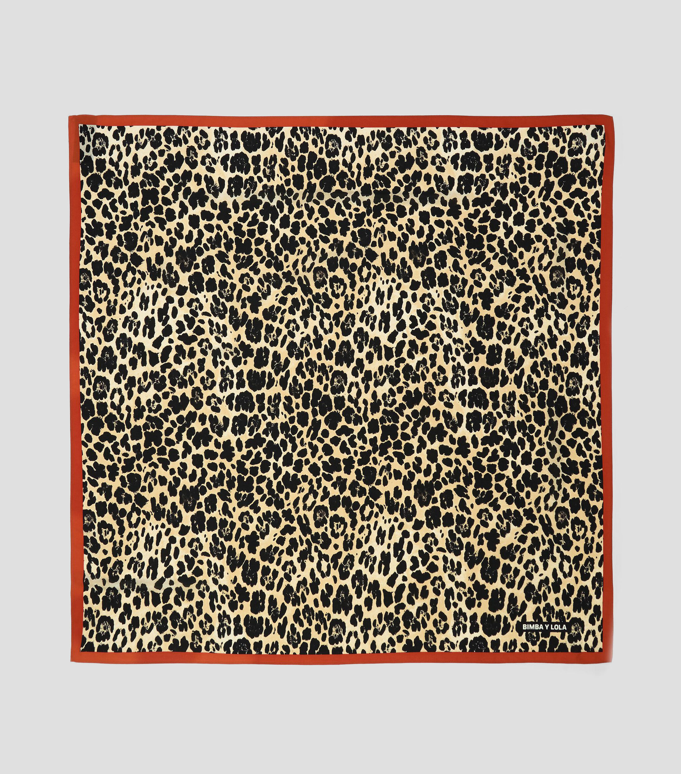 Pañuelo estampado Mujer