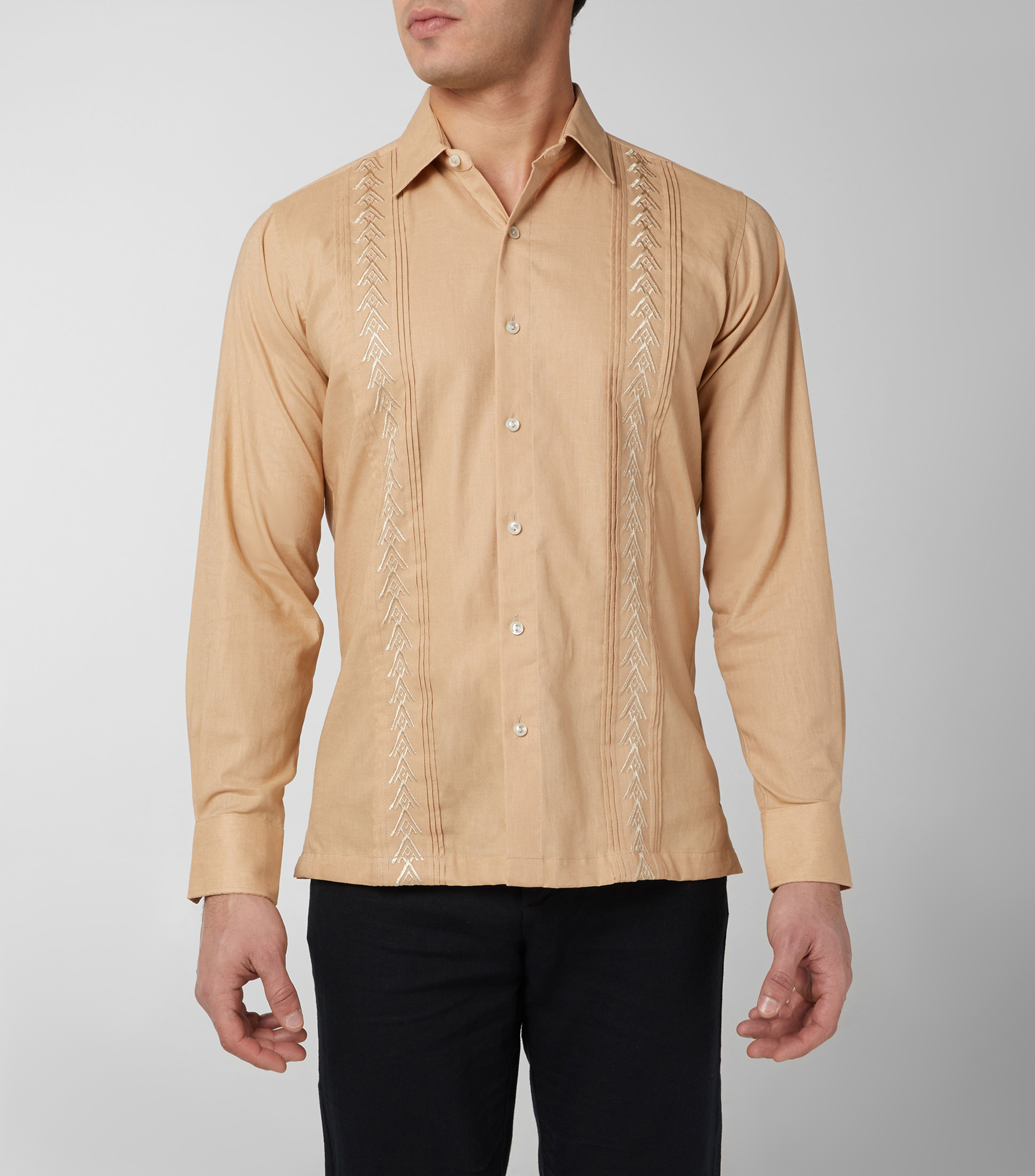 Guayabera palacio de hierro online