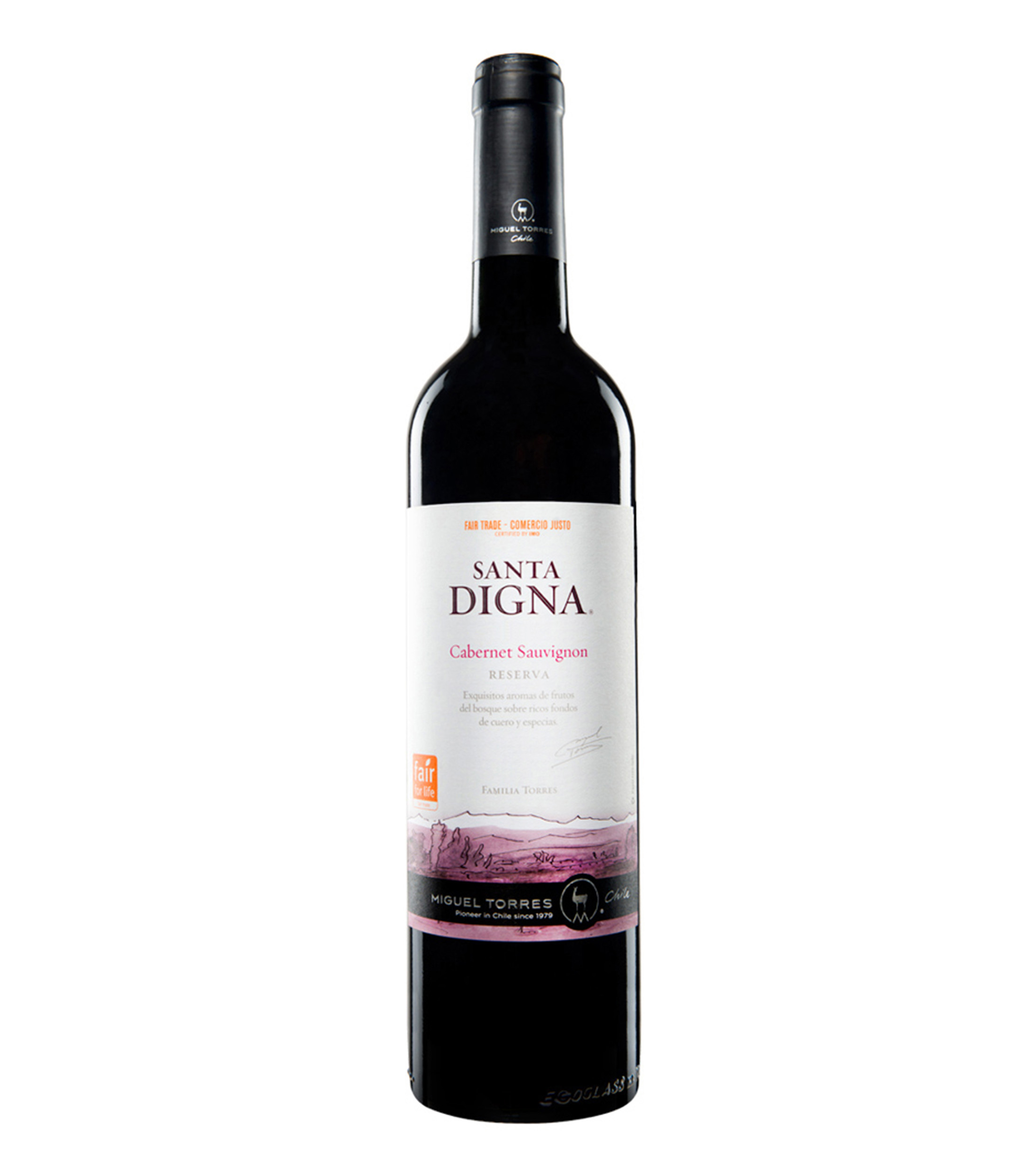 Vino Tinto Cabernet Sauvignon, 750 ml