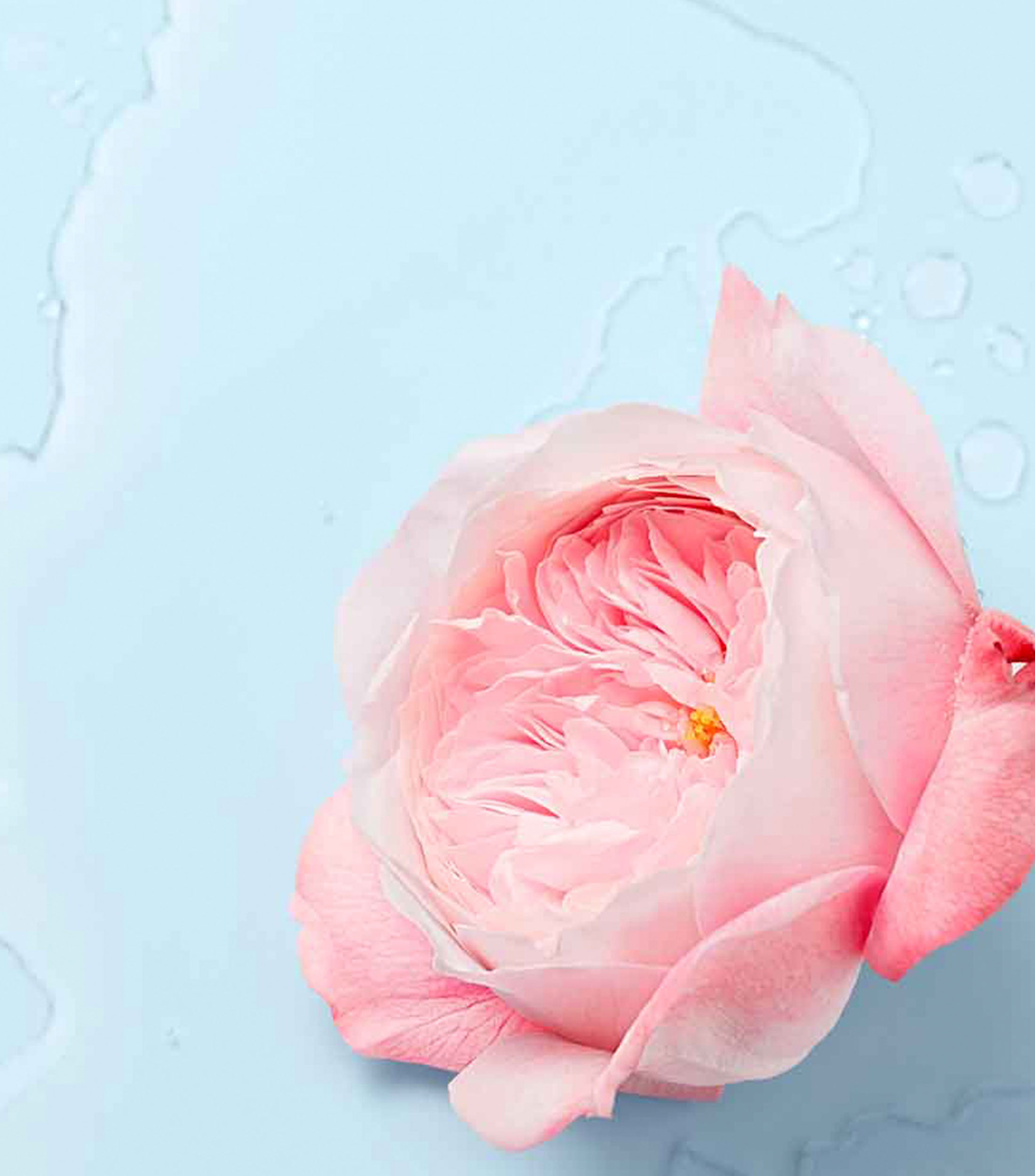 Tratamiento Facial Very Rose Mist, 200 ml