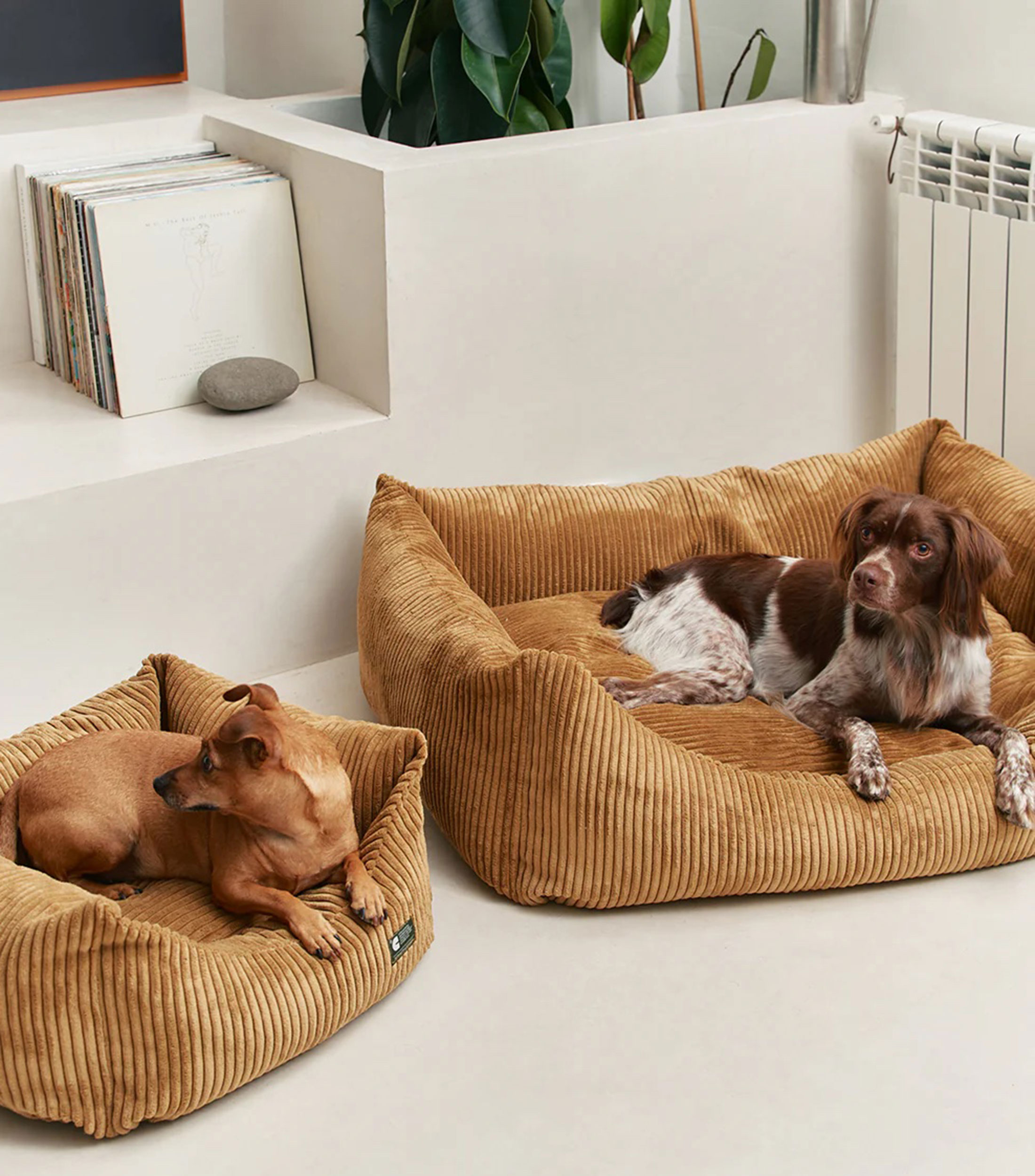 Cama para mascota L Snozy pana mostaza