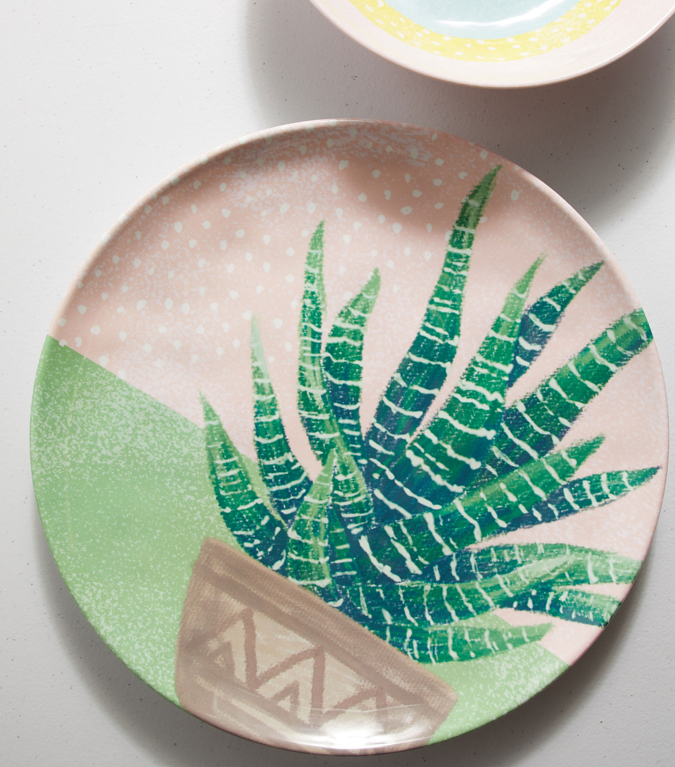 Plato Trinche con Cactus