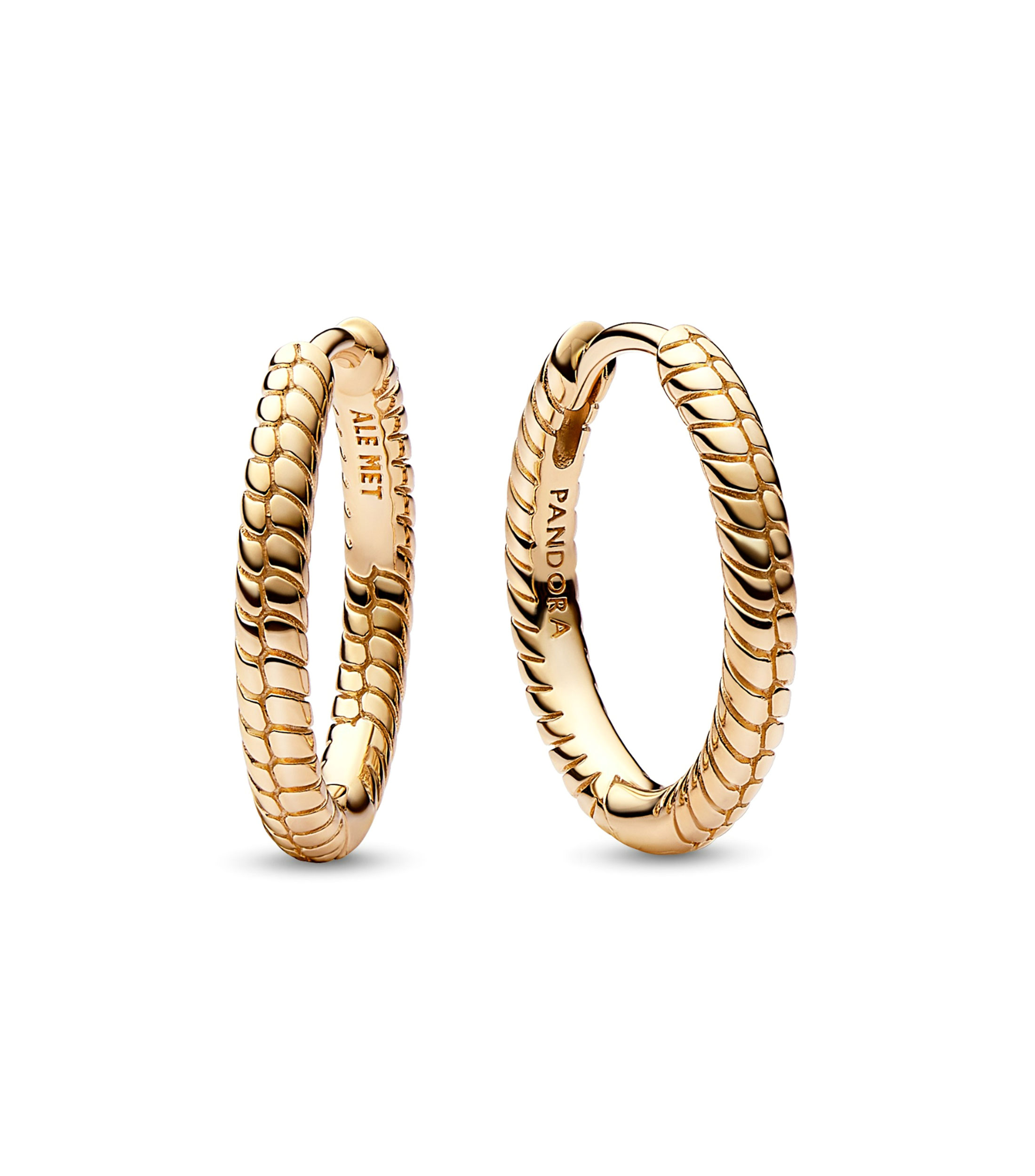 Aretes en plata .925 Pandora Moments Mujer