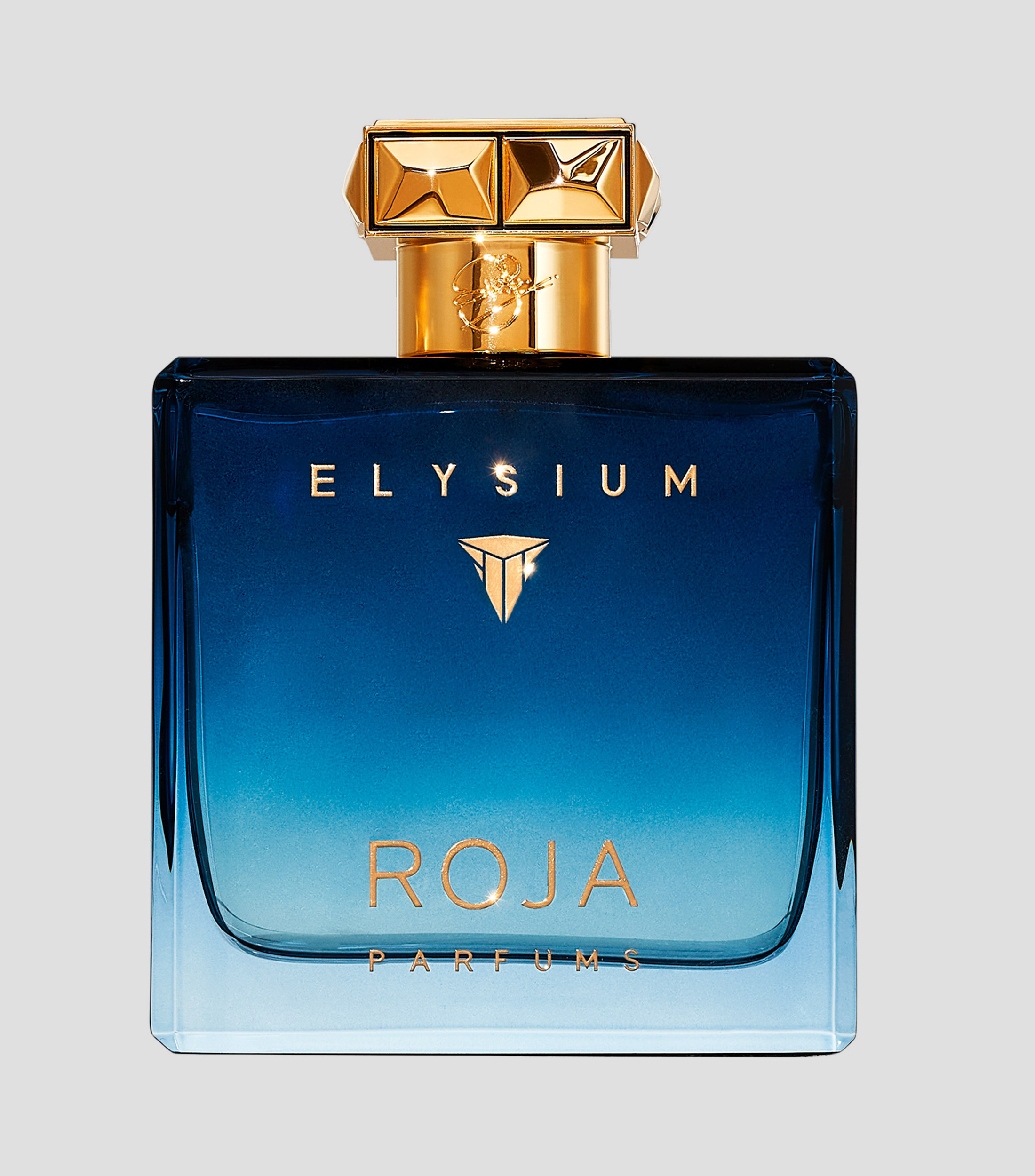 ROJ ELYSIUM POUR HOMME EDP 100ML