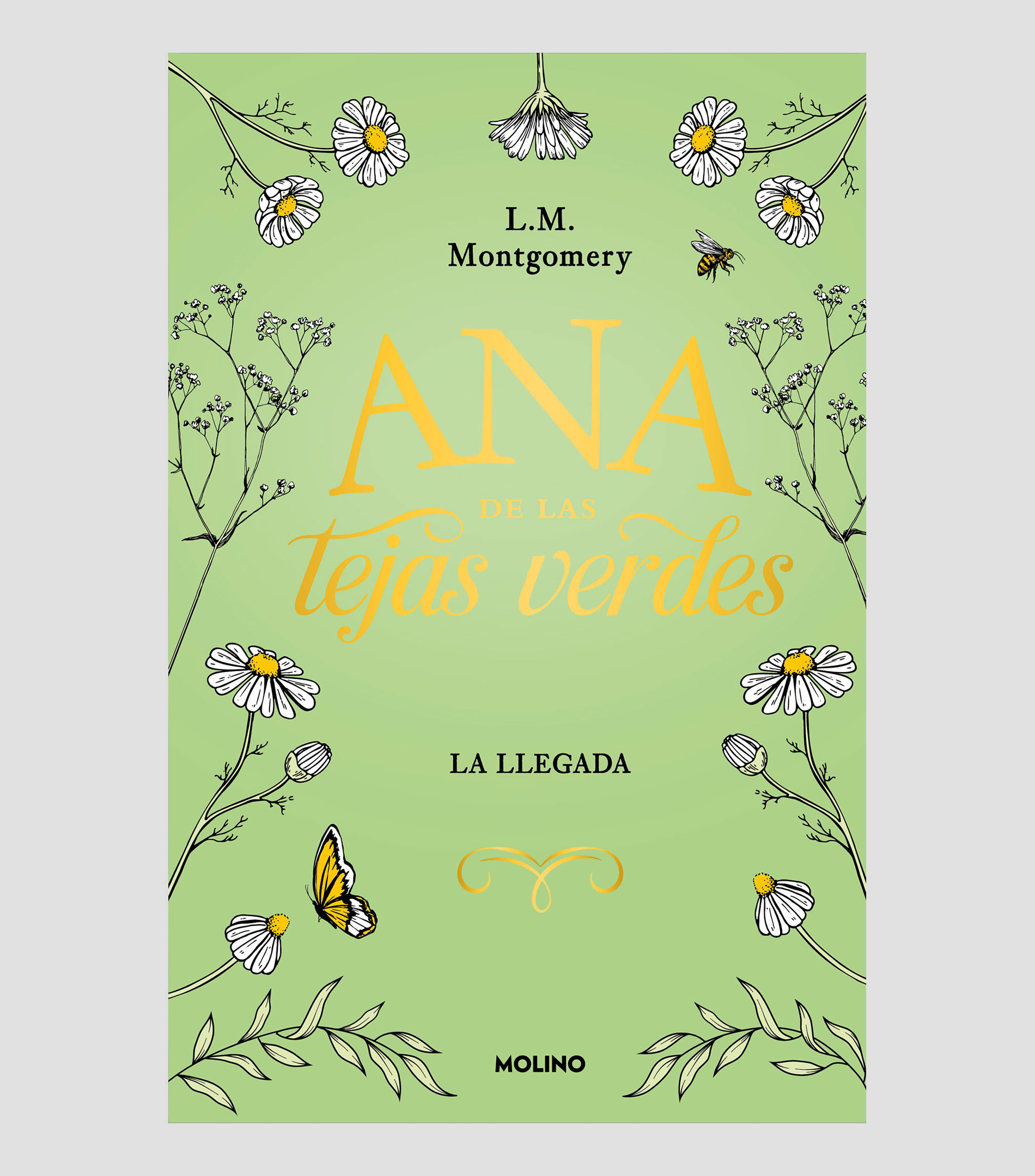 JóvenesAna de las tejas verdes 1 La Llegada, Lucy Maud Montgomery