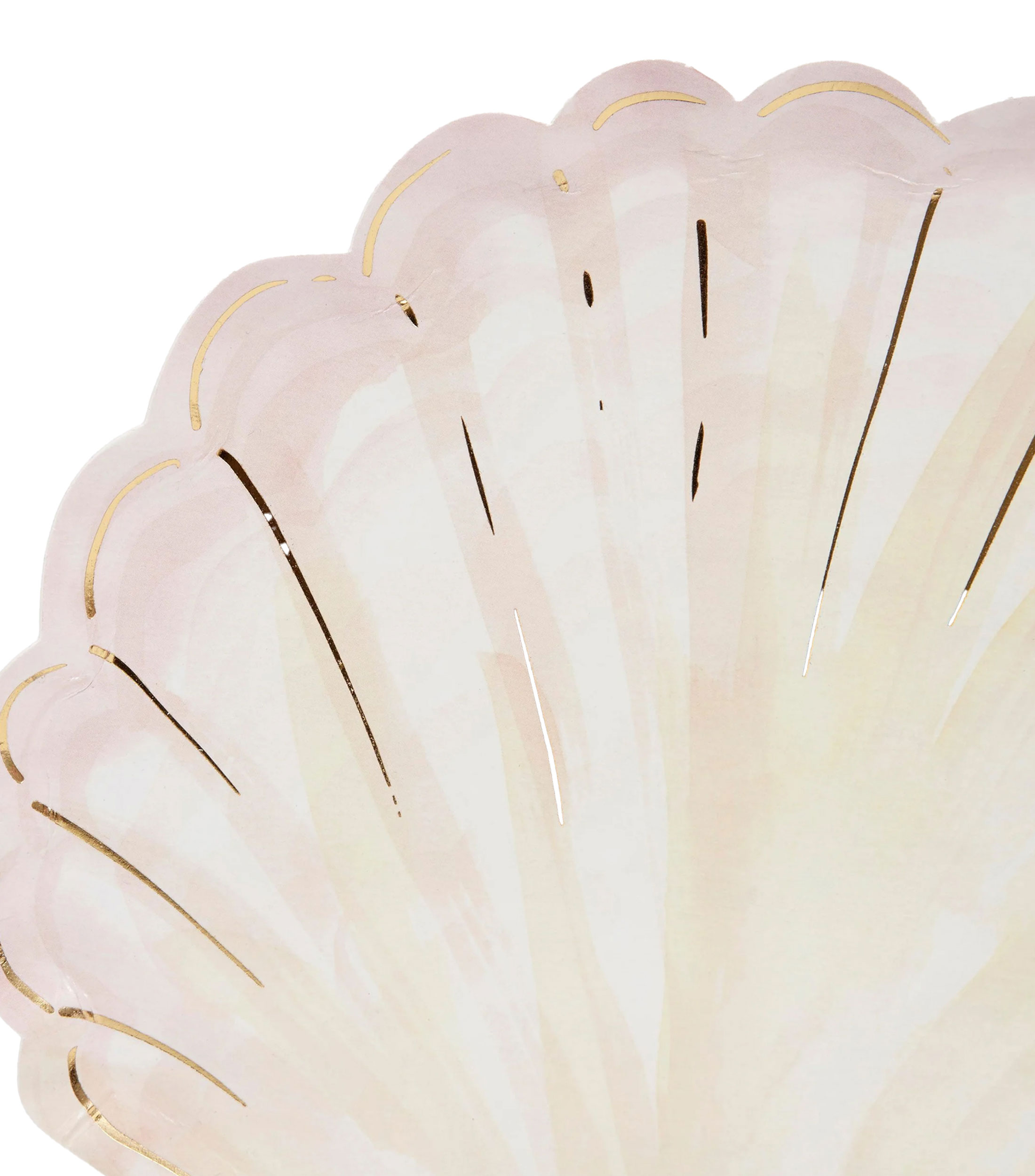 Set 8 Platos Watercolour Clam Shell