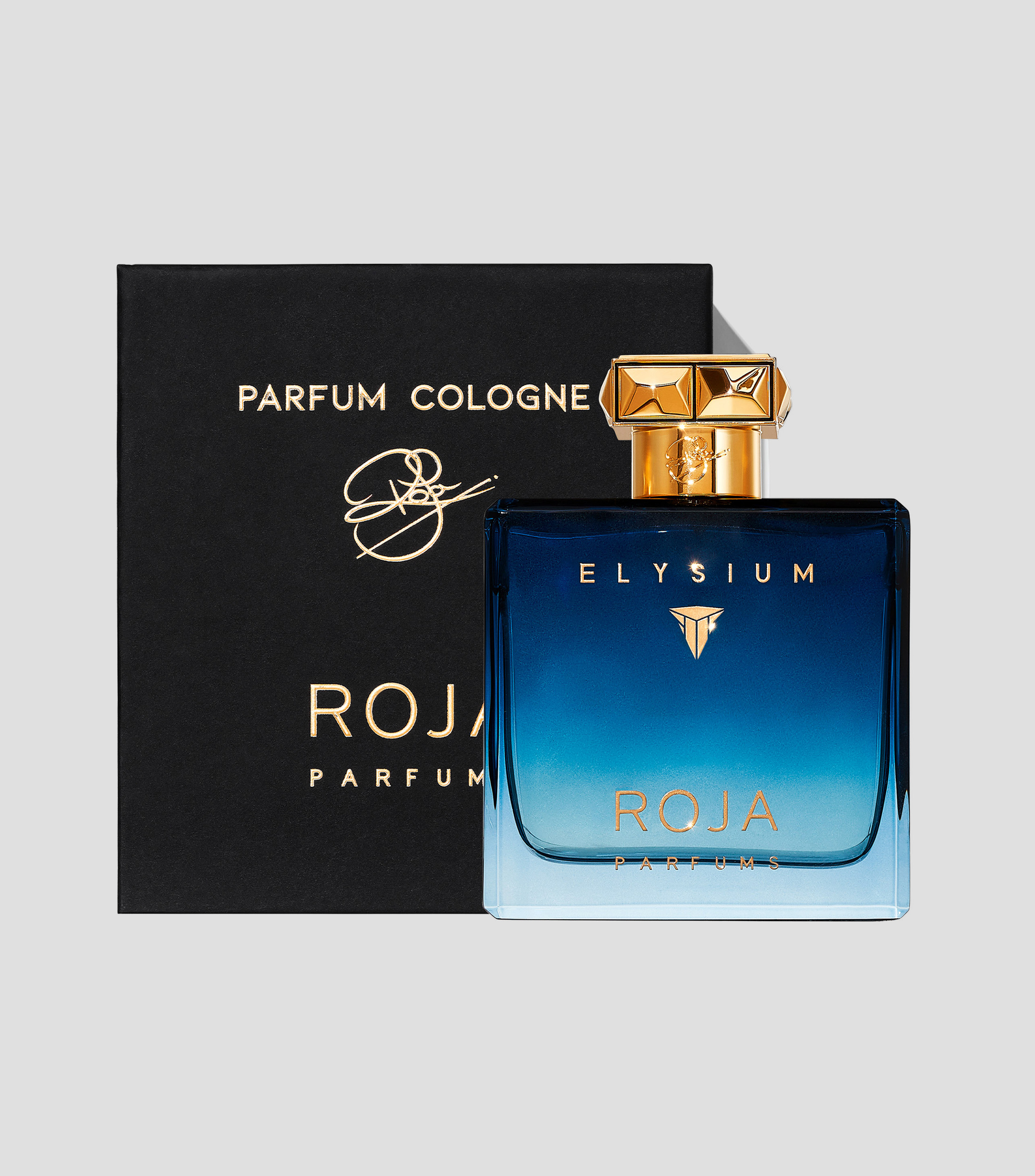 ROJ ELYSIUM POUR HOMME EDP 100ML