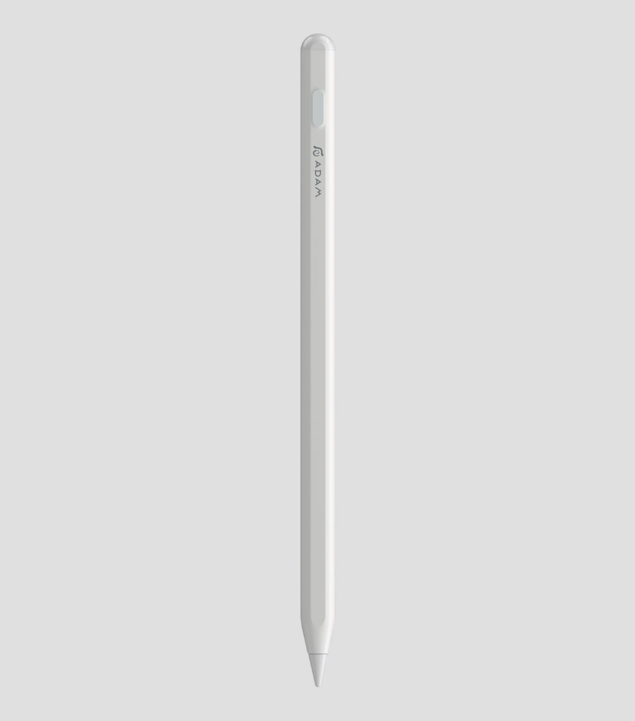 Lapiz digital para iPad Stylus