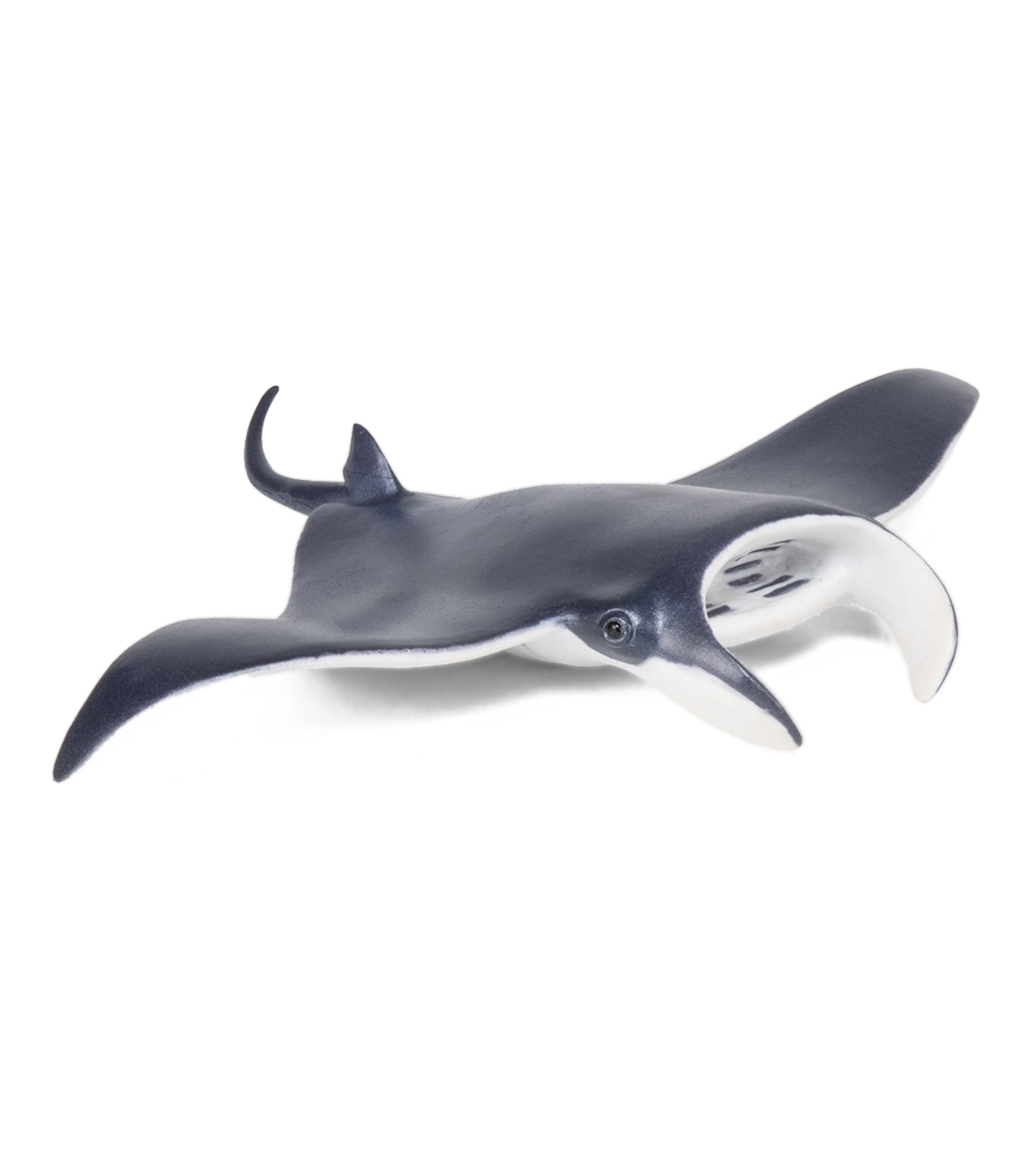 Figura de Mantarraya