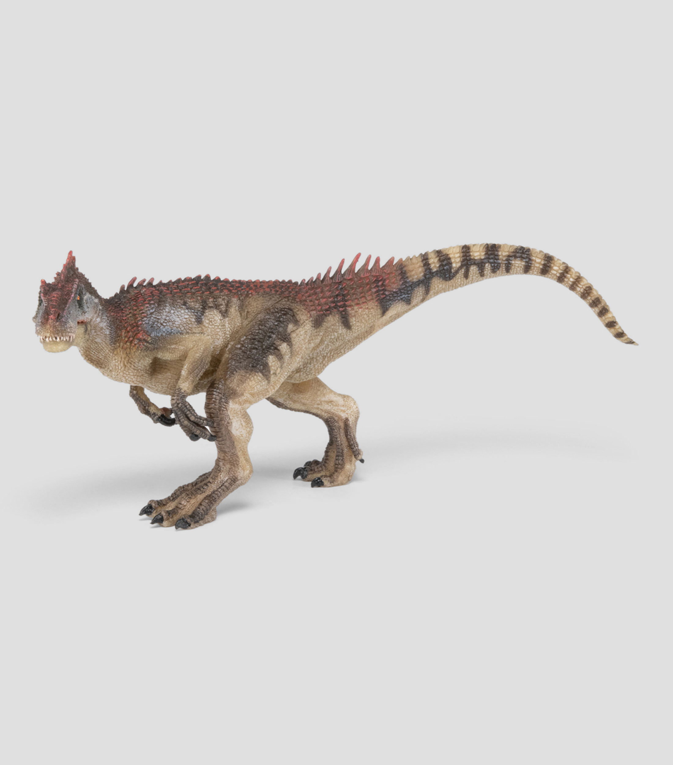 Allosaurus