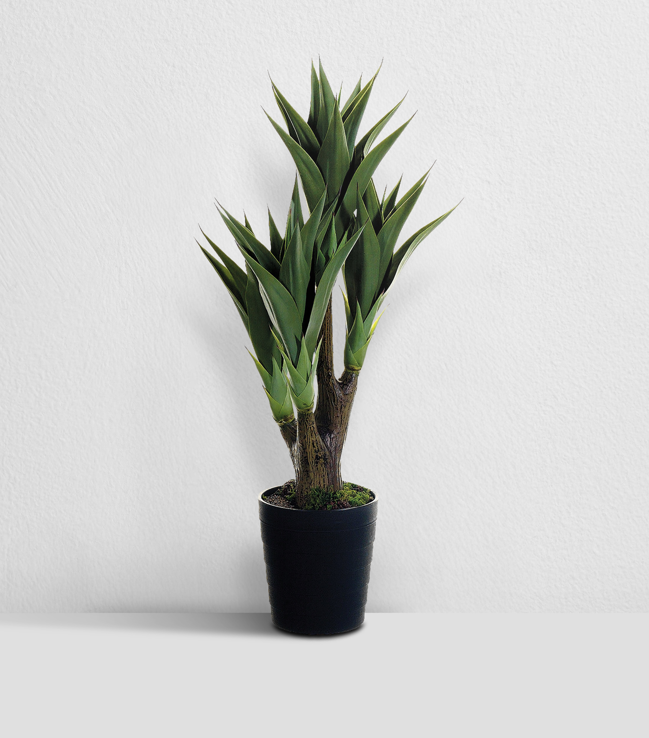 Planta decorativa Agave con Maceta artificial