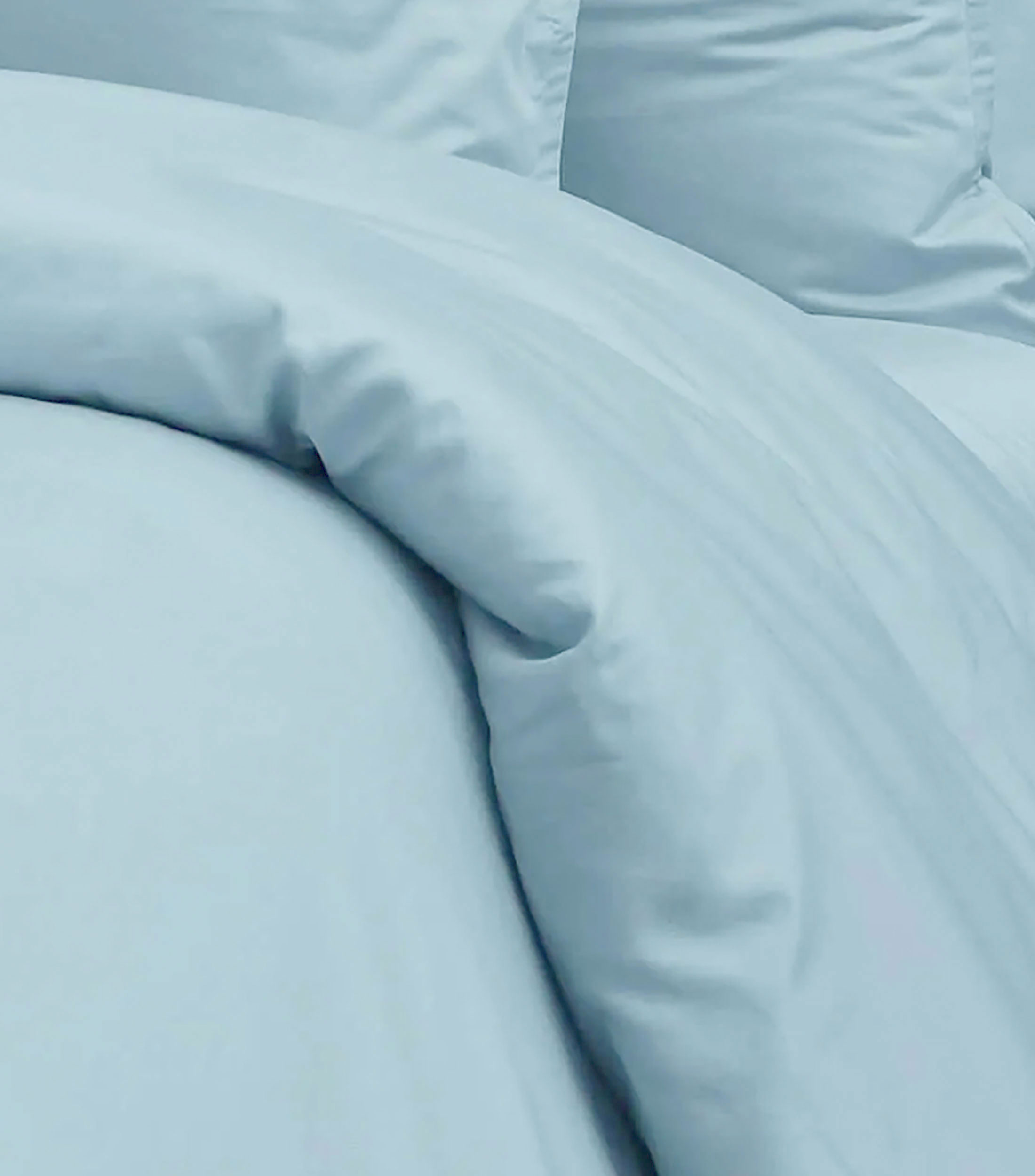 Funda para Duvet Individual Plumbago Azul