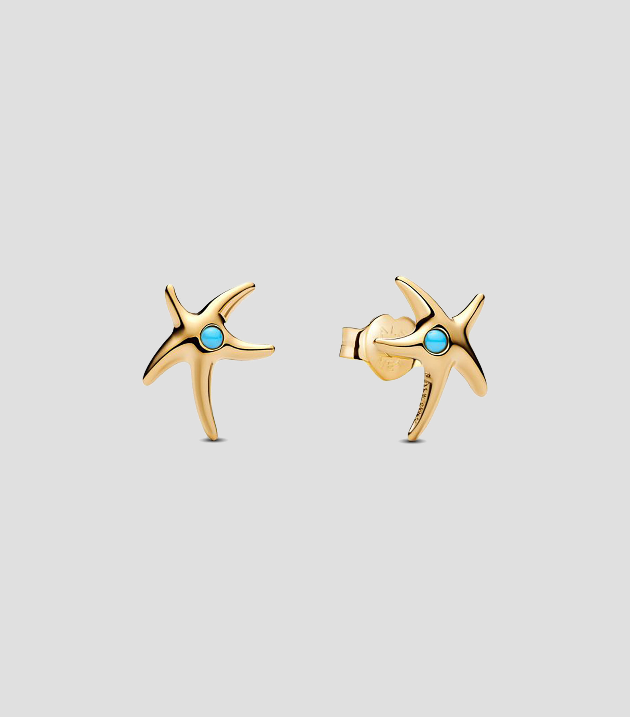 Aretes estrella de mar en plata Mujer