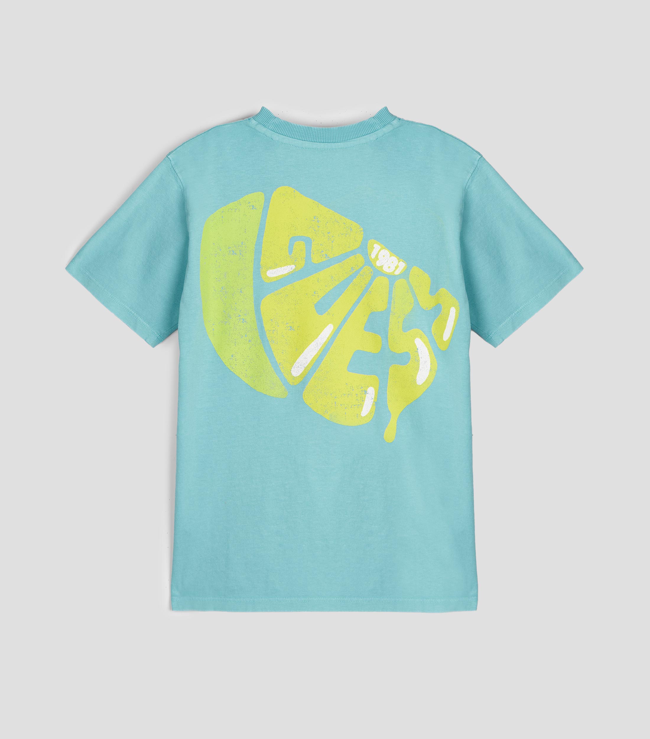 Playera cuello redondo manga corta estampada Niño