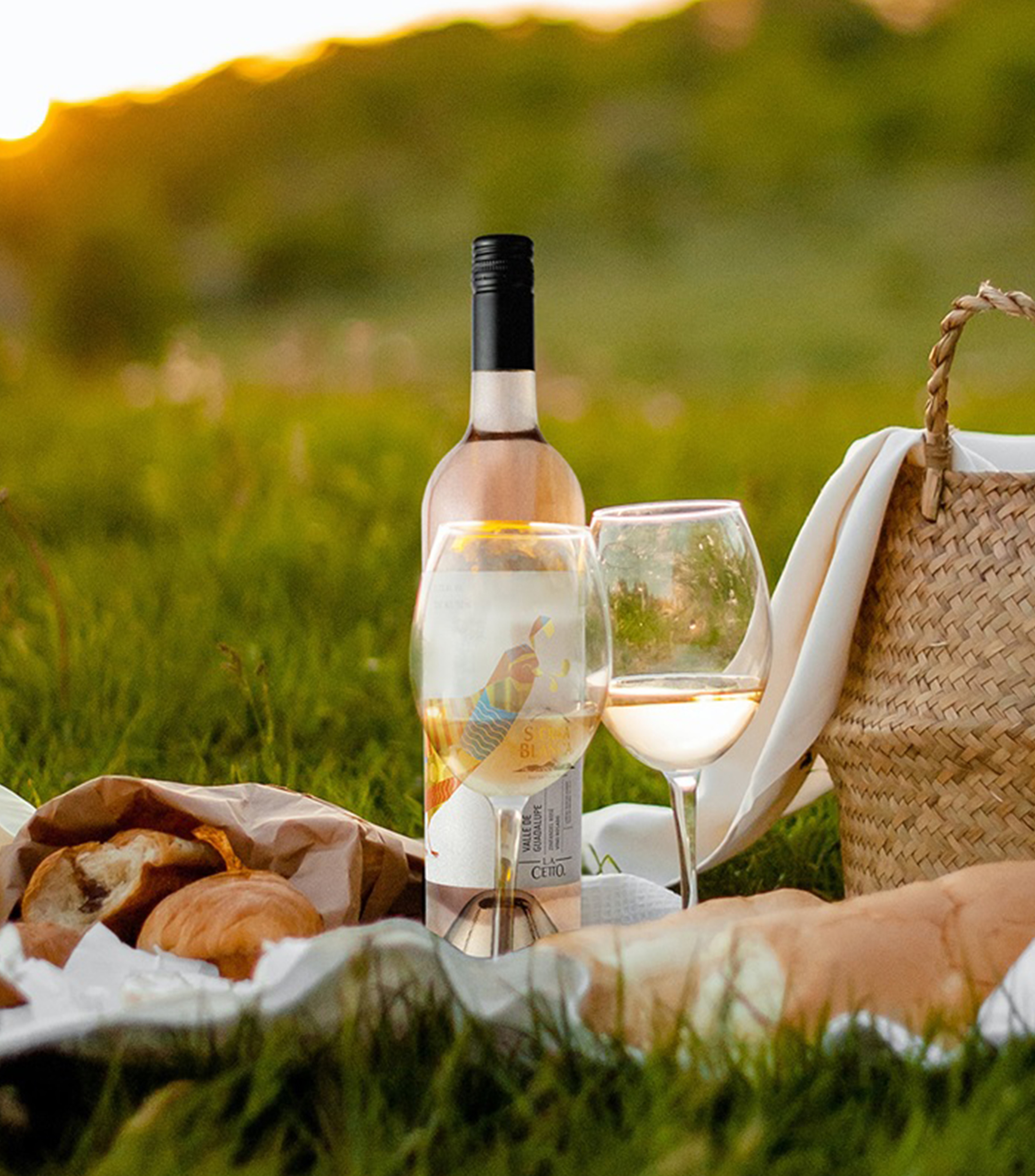 Vino Rosado Zinfandel Sierra Blanca, Mexico, 750 ml