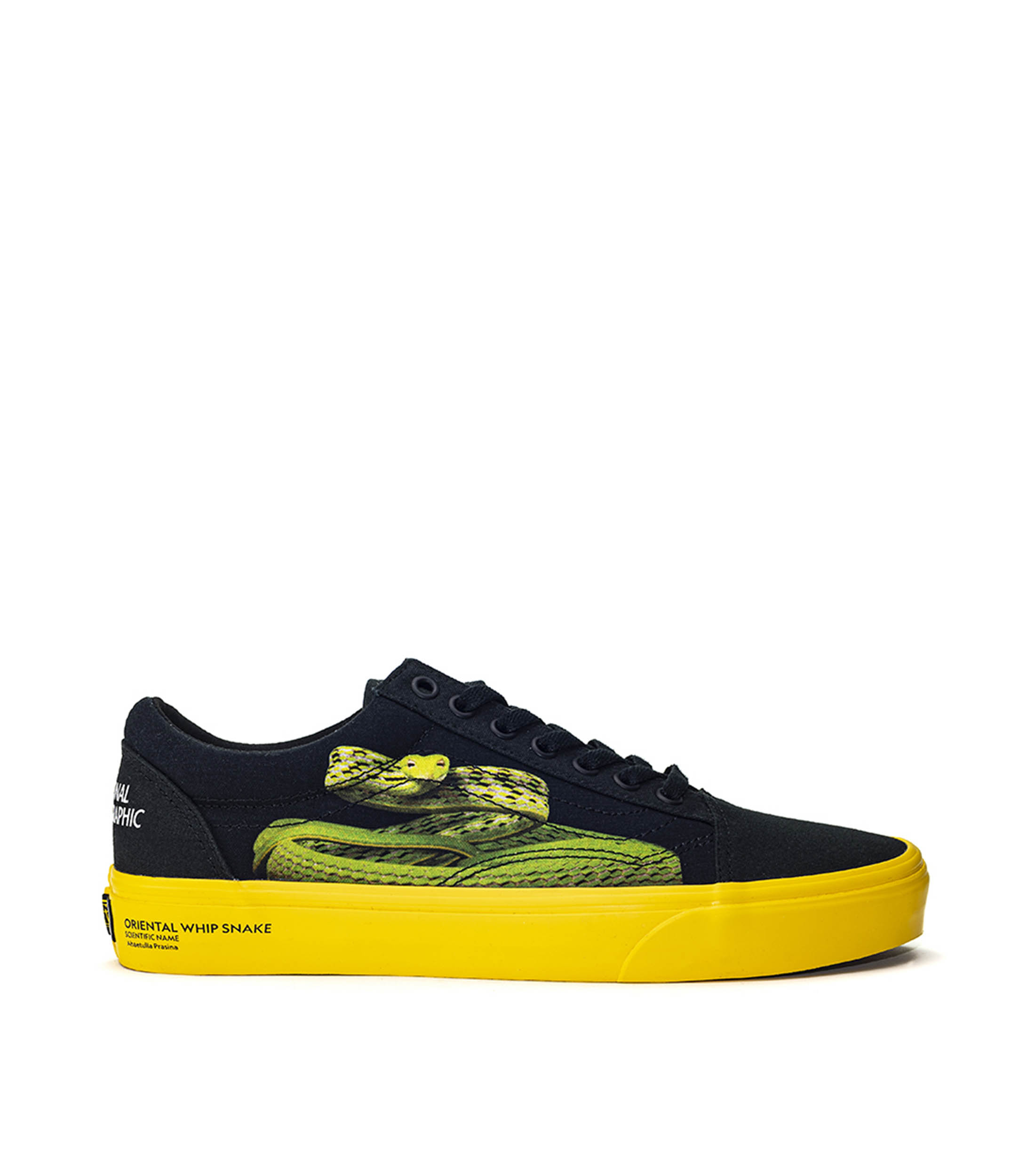 Tenis vans palacio de hierro clearance
