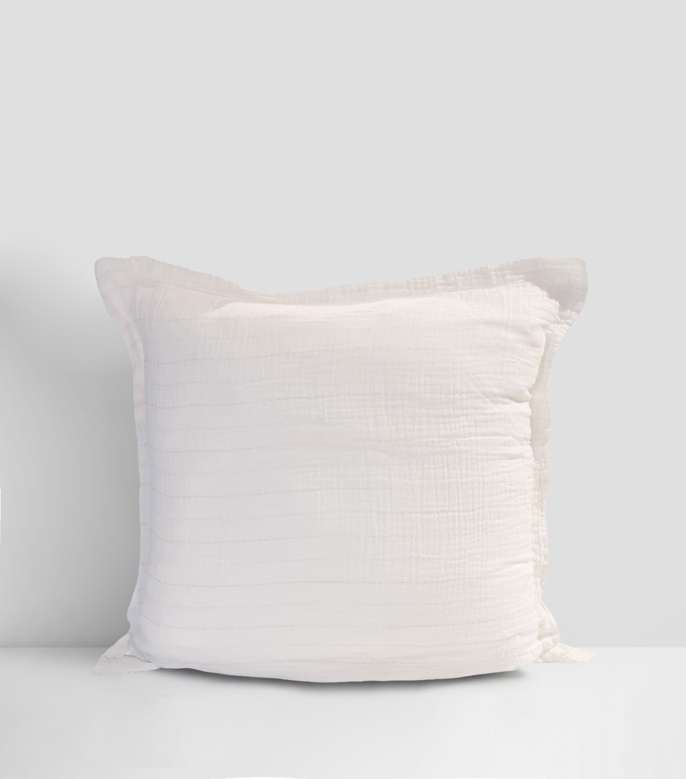 Fundas para almohada Euro de algodón