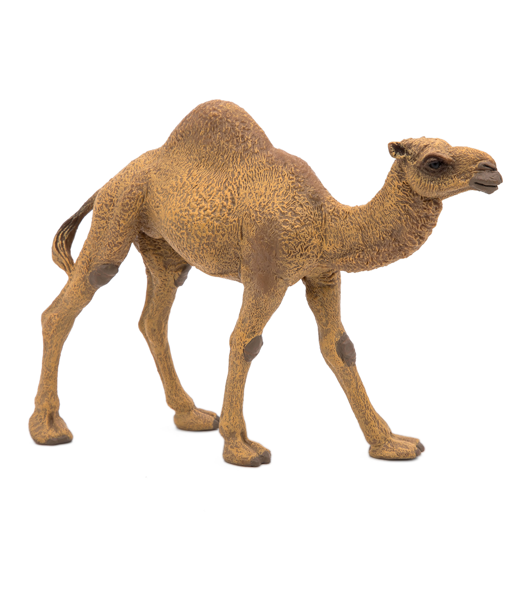 Figura Dromedario