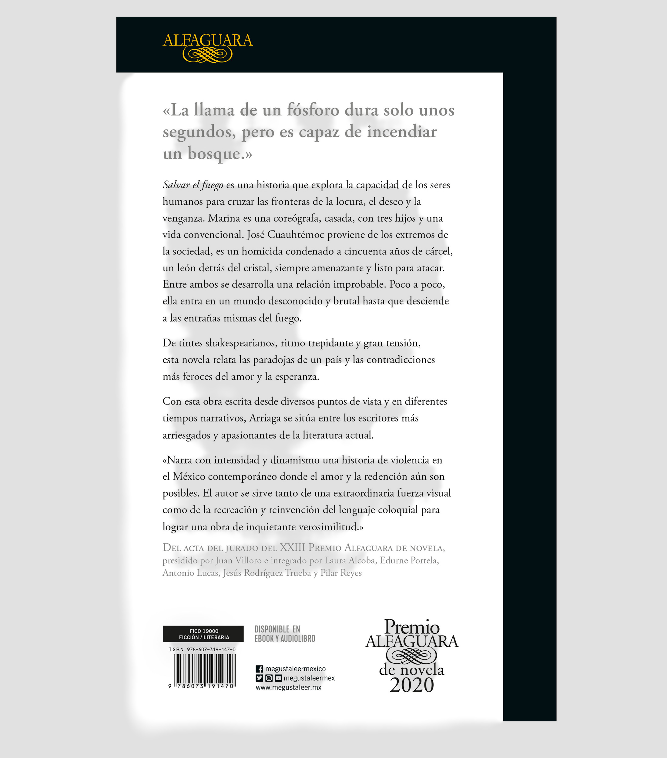 NovelaSalvar el Fuego, Guillermo Arriaga